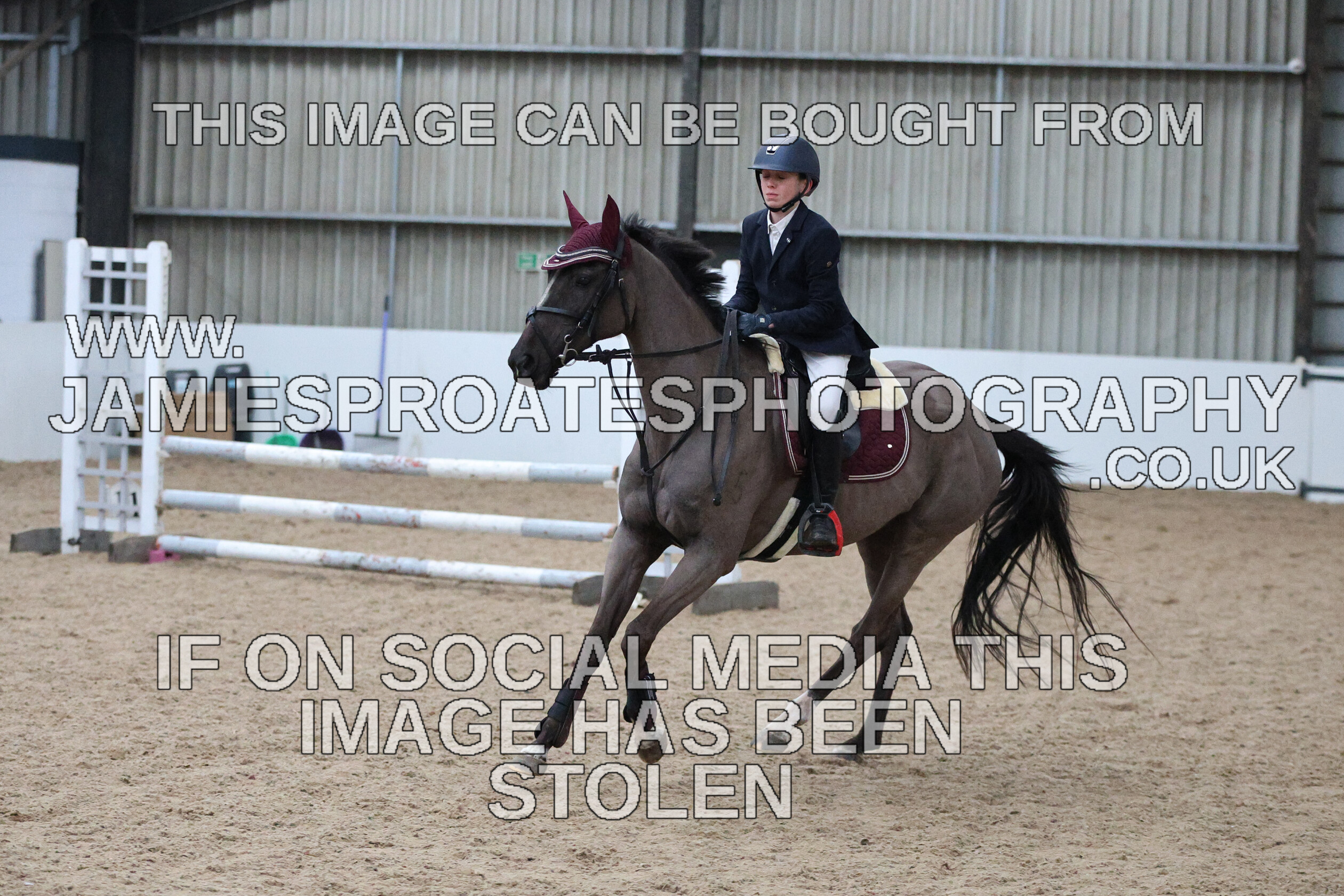 0002 6634 
 Keywords: "jamie sproates photography" showjumping" "holmside""bs"