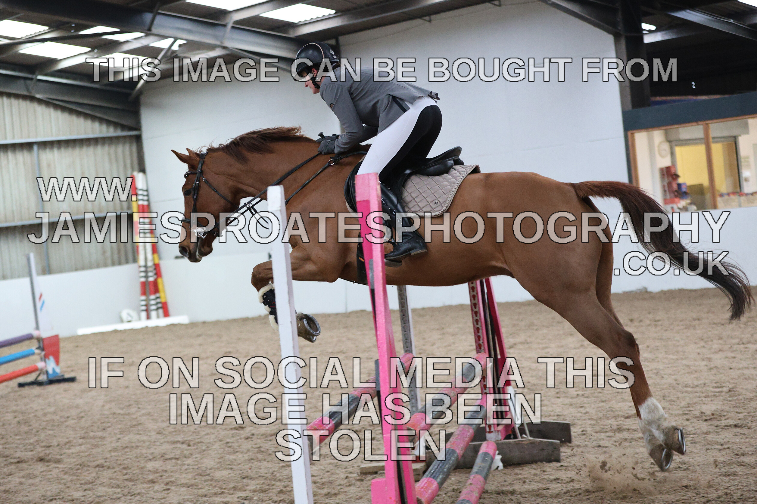 0002 6594 
 Keywords: "jamie sproates photography" showjumping" "holmside""bs"