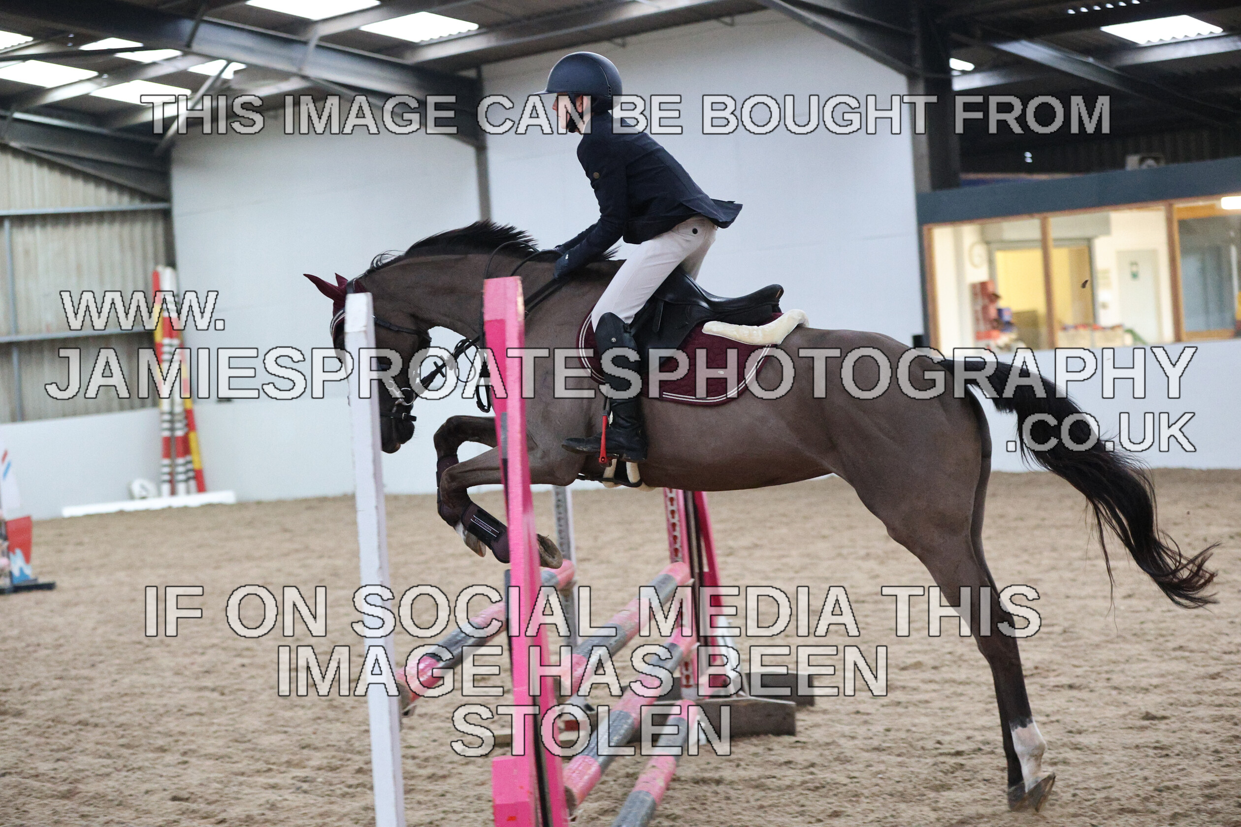 0002 6645 
 Keywords: "jamie sproates photography" showjumping" "holmside""bs"