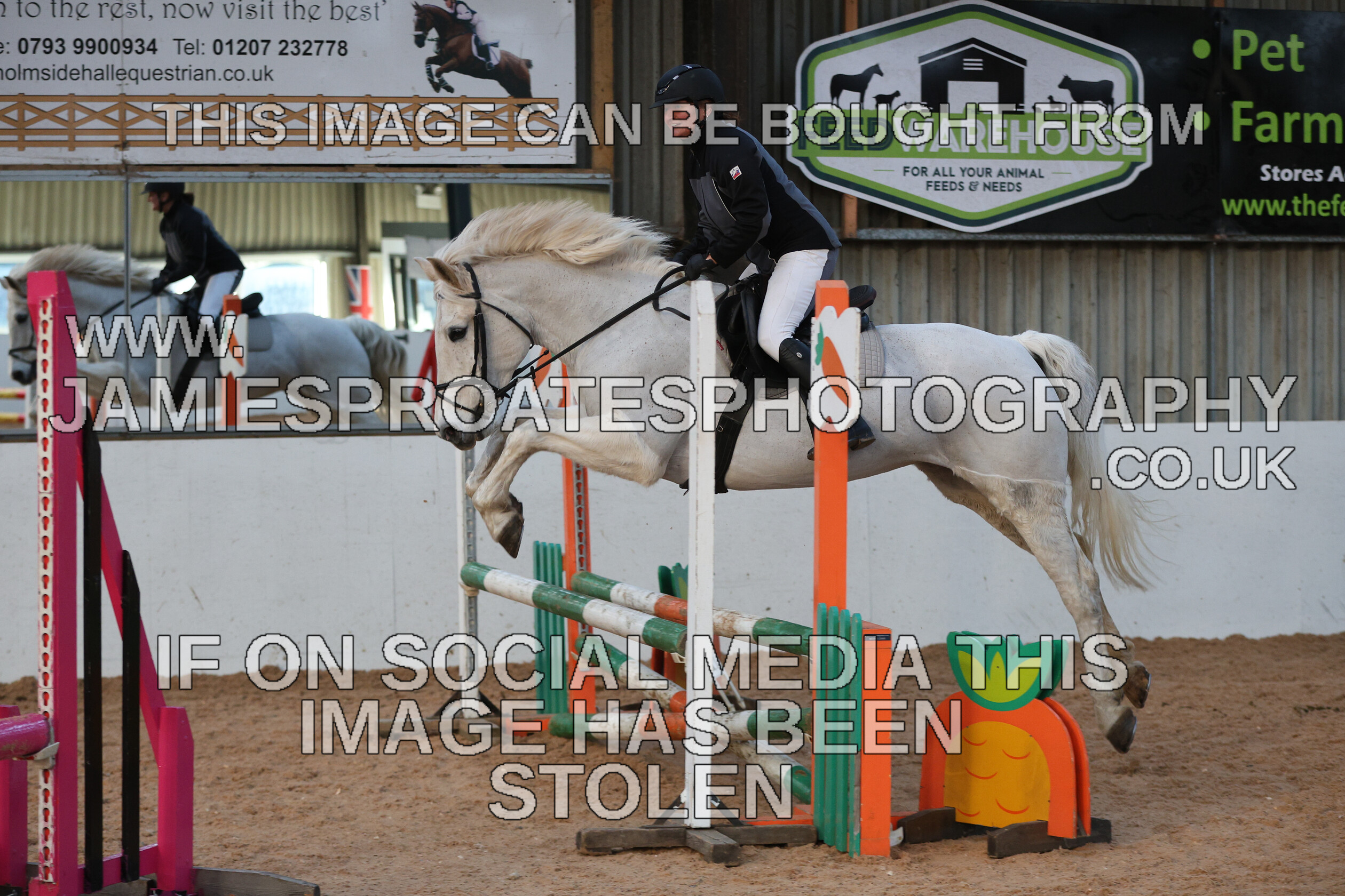 0002 3907 
 Keywords: "jamie sproates photography" showjumping" "holmside"