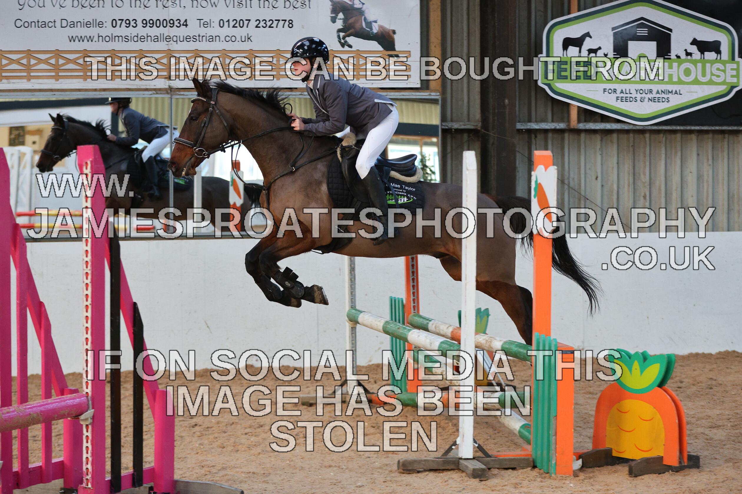 0002 3967 
 Keywords: "jamie sproates photography" showjumping" "holmside"