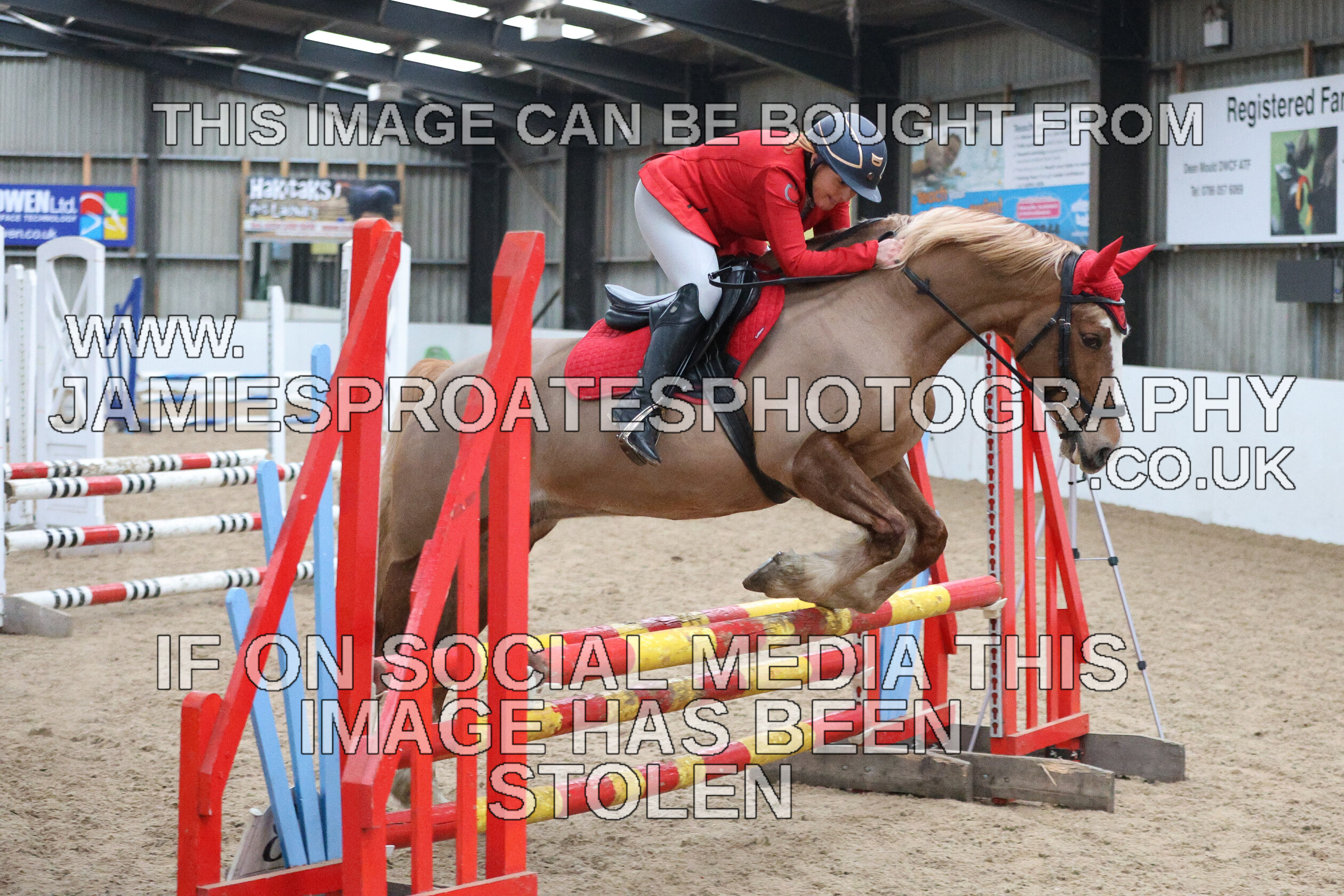 0002 6605 
 Keywords: "jamie sproates photography" showjumping" "holmside""bs"