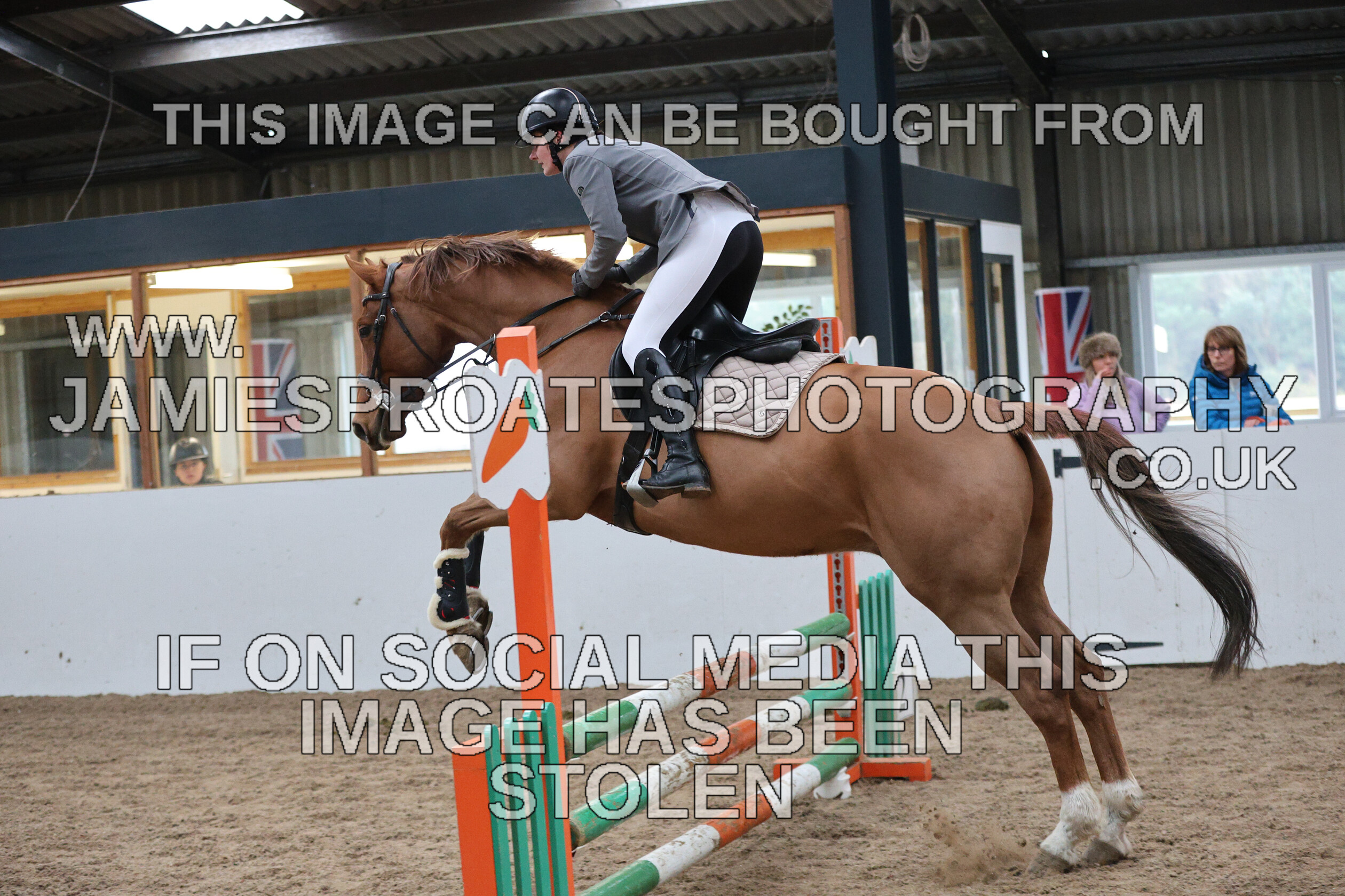 0002 6585 
 Keywords: "jamie sproates photography" showjumping" "holmside""bs"