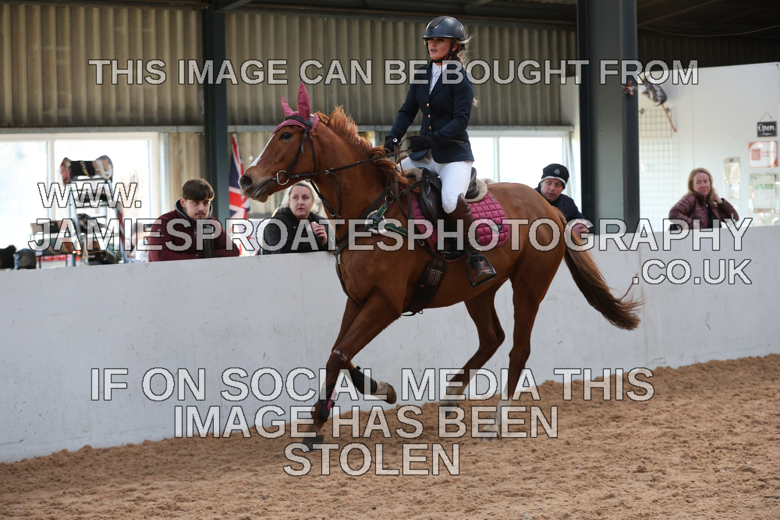 0002 3978 
 Keywords: "jamie sproates photography" showjumping" "holmside"