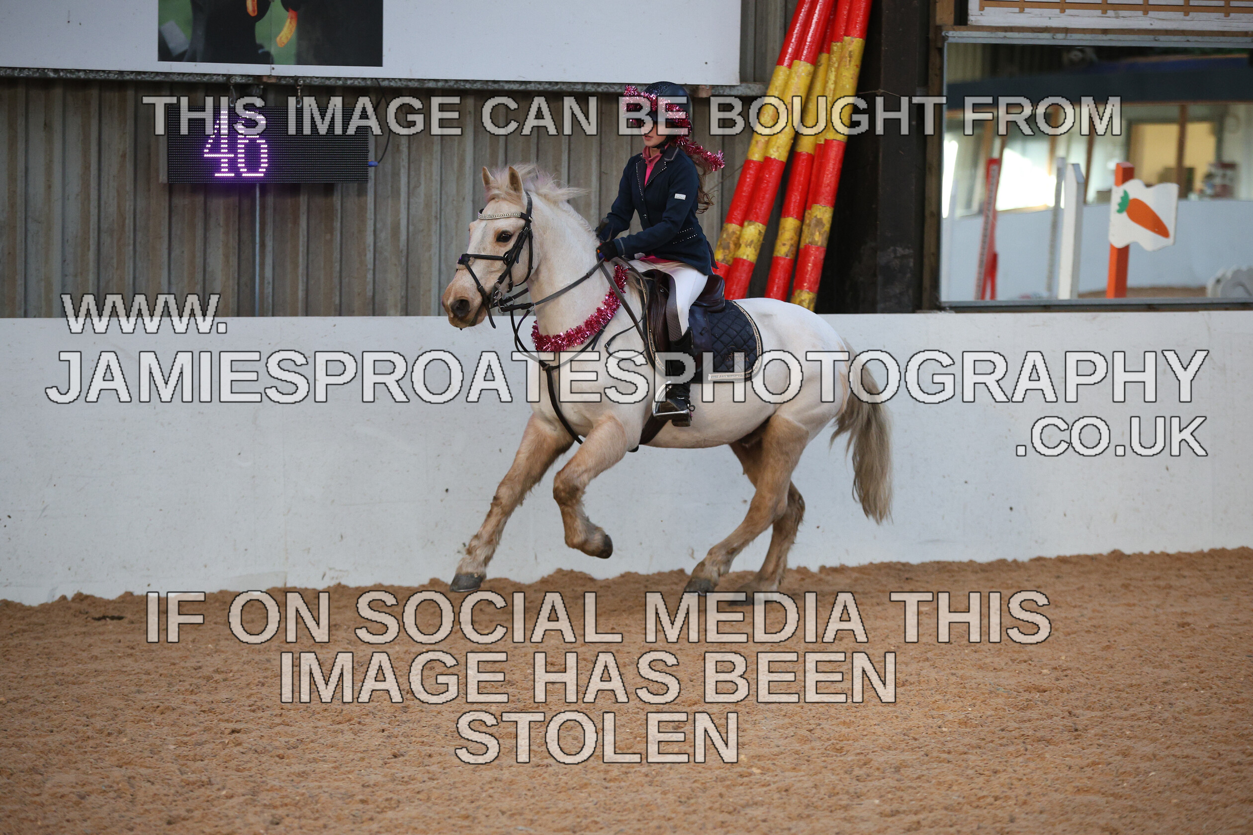 0002 3950 
 Keywords: "jamie sproates photography" showjumping" "holmside"