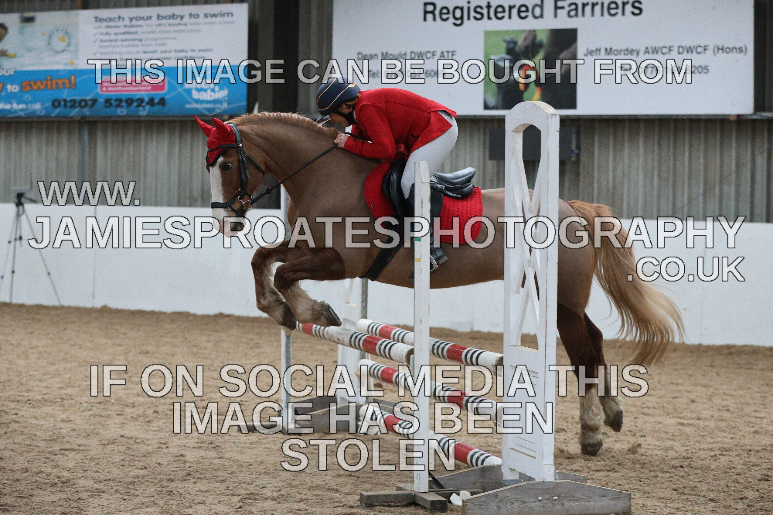 0002 6602 
 Keywords: "jamie sproates photography" showjumping" "holmside""bs"