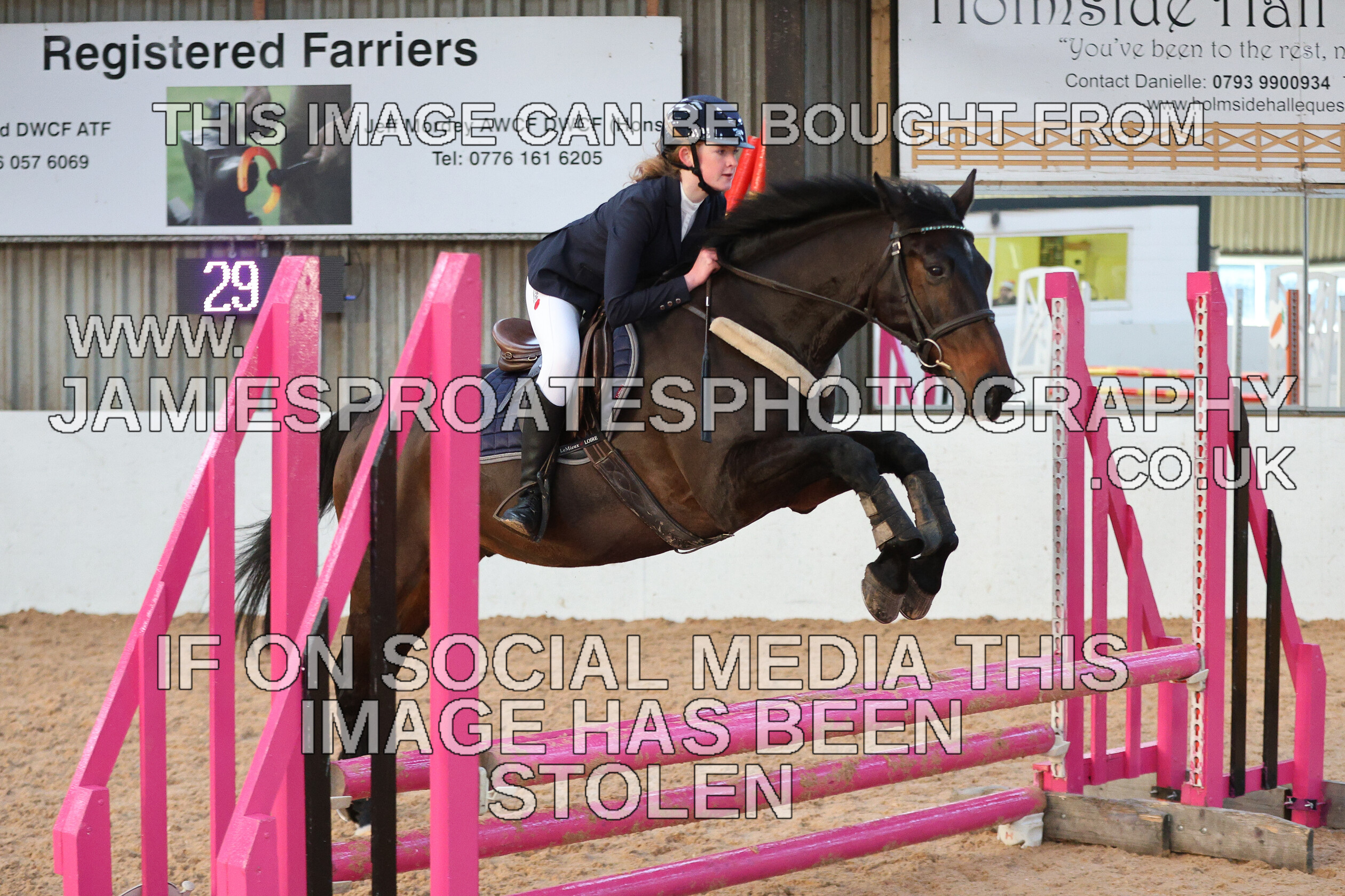 0002 3939 
 Keywords: "jamie sproates photography" showjumping" "holmside"