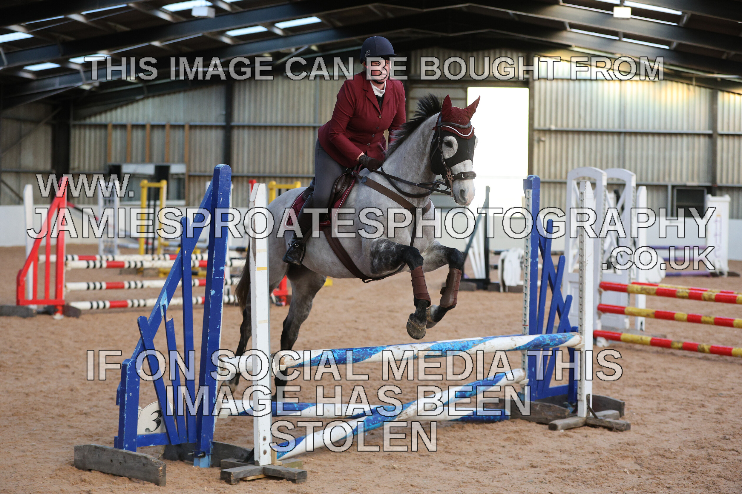 0002 3891 
 Keywords: "jamie sproates photography" showjumping" "holmside"