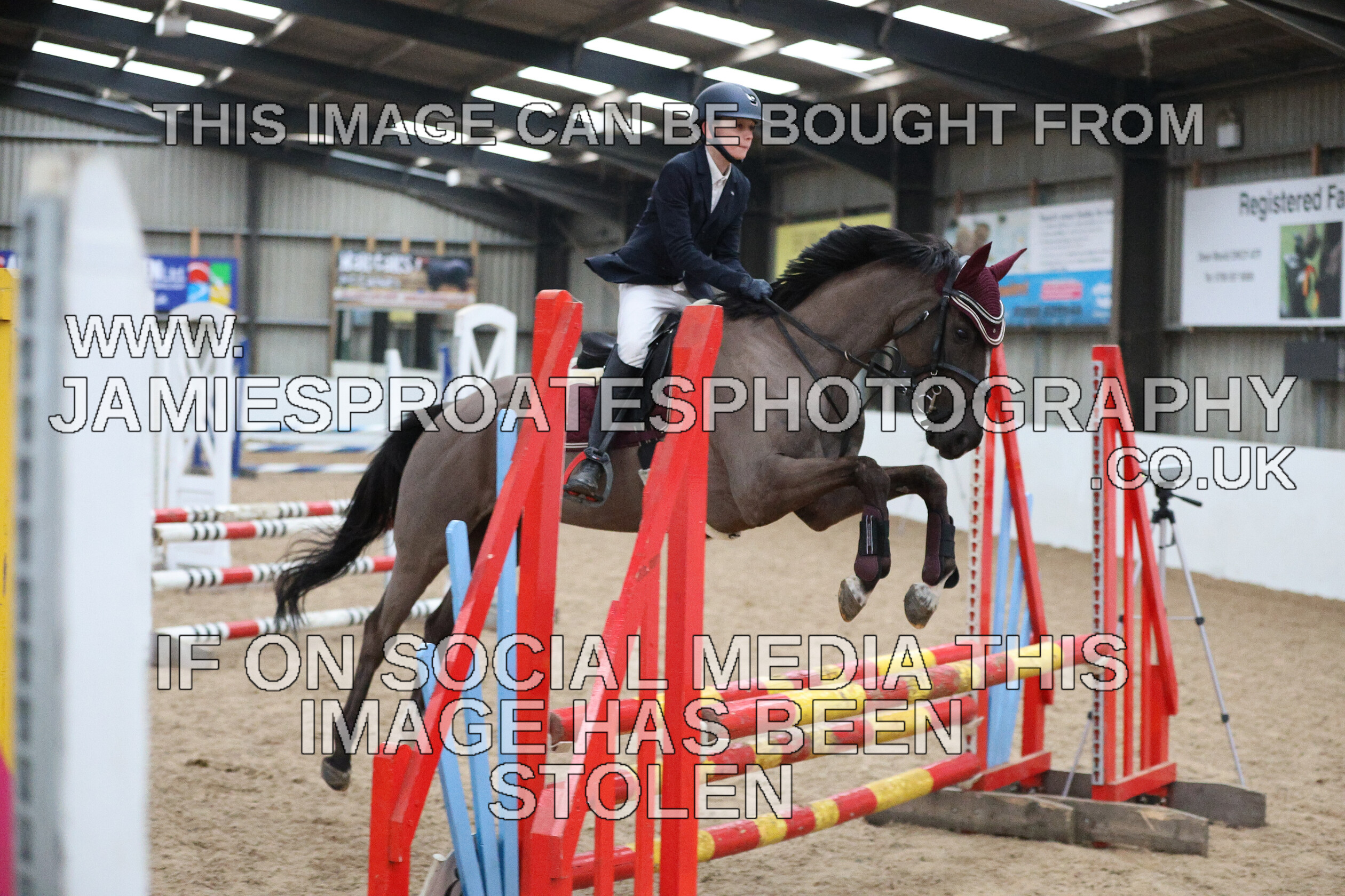 0002 6641 
 Keywords: "jamie sproates photography" showjumping" "holmside""bs"