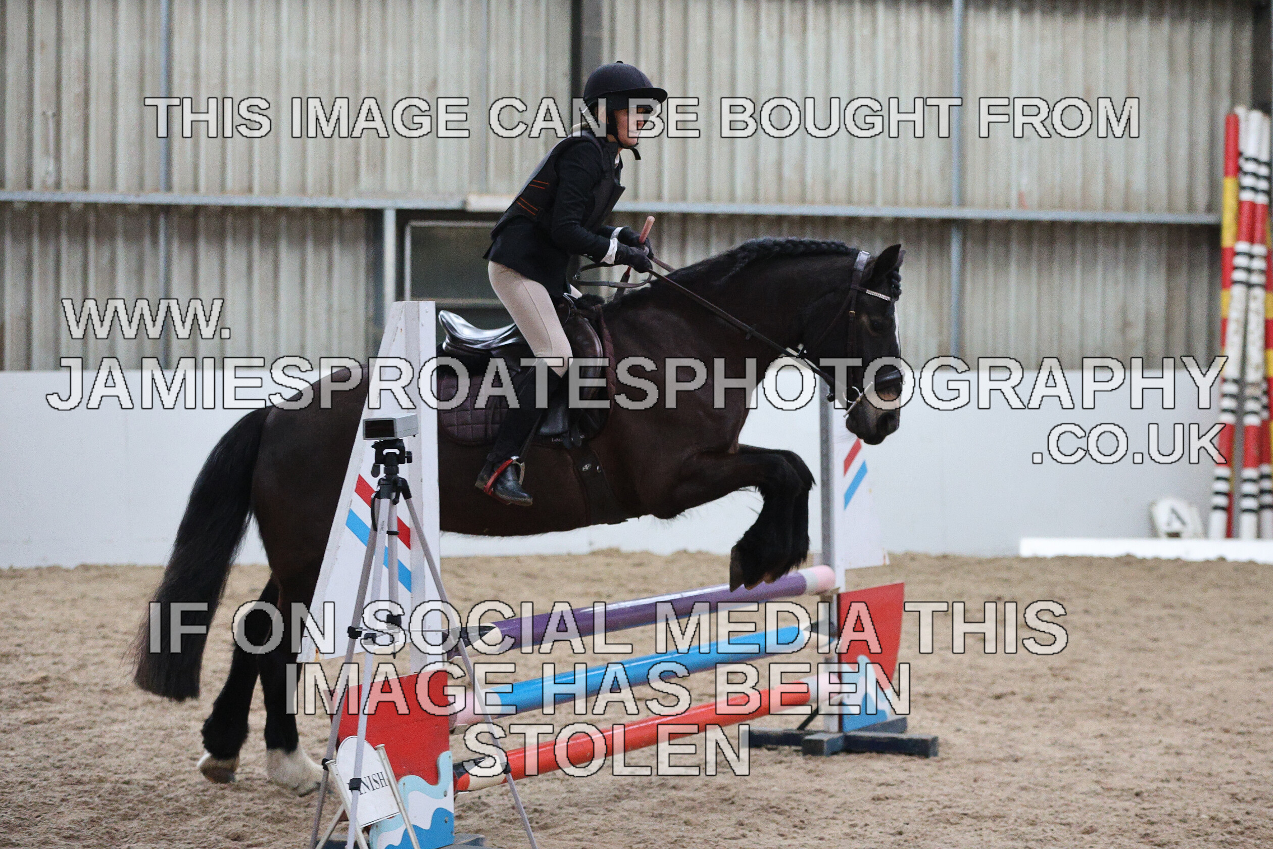 0002 6667 
 Keywords: "jamie sproates photography" showjumping" "holmside""bs"