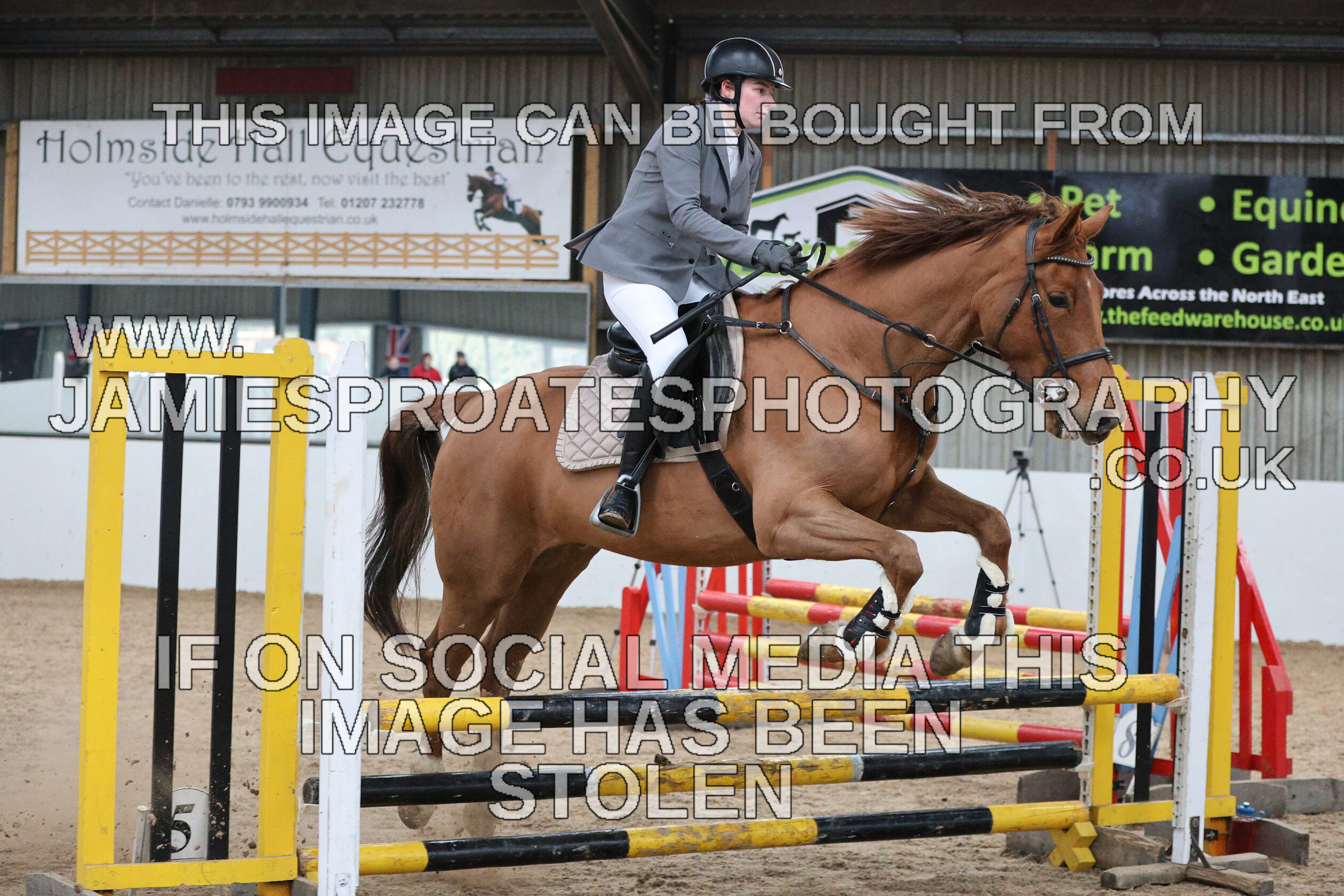 0002 6587 
 Keywords: "jamie sproates photography" showjumping" "holmside""bs"