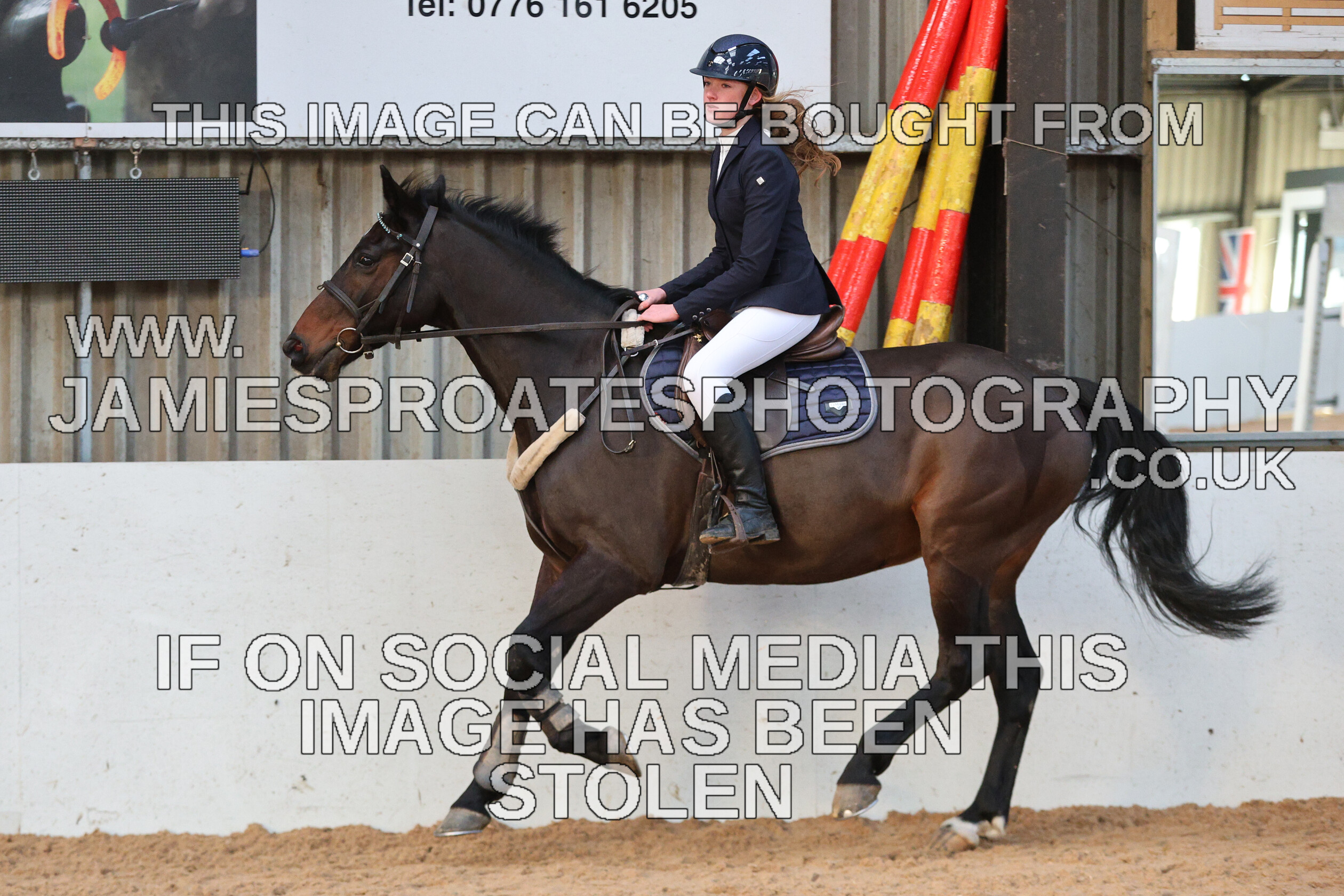 0002 3928 
 Keywords: "jamie sproates photography" showjumping" "holmside"