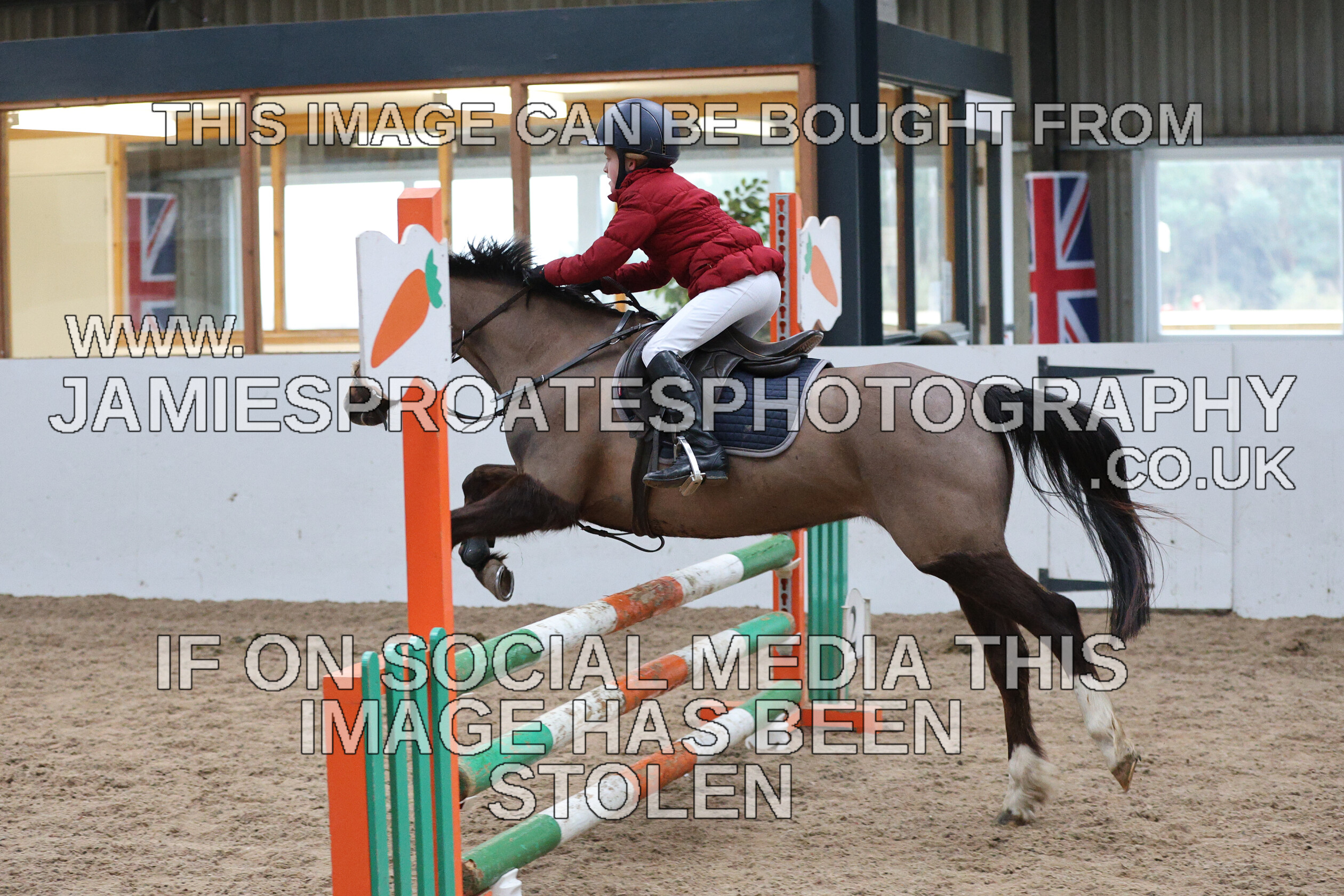 0002 6649 
 Keywords: "jamie sproates photography" showjumping" "holmside""bs"