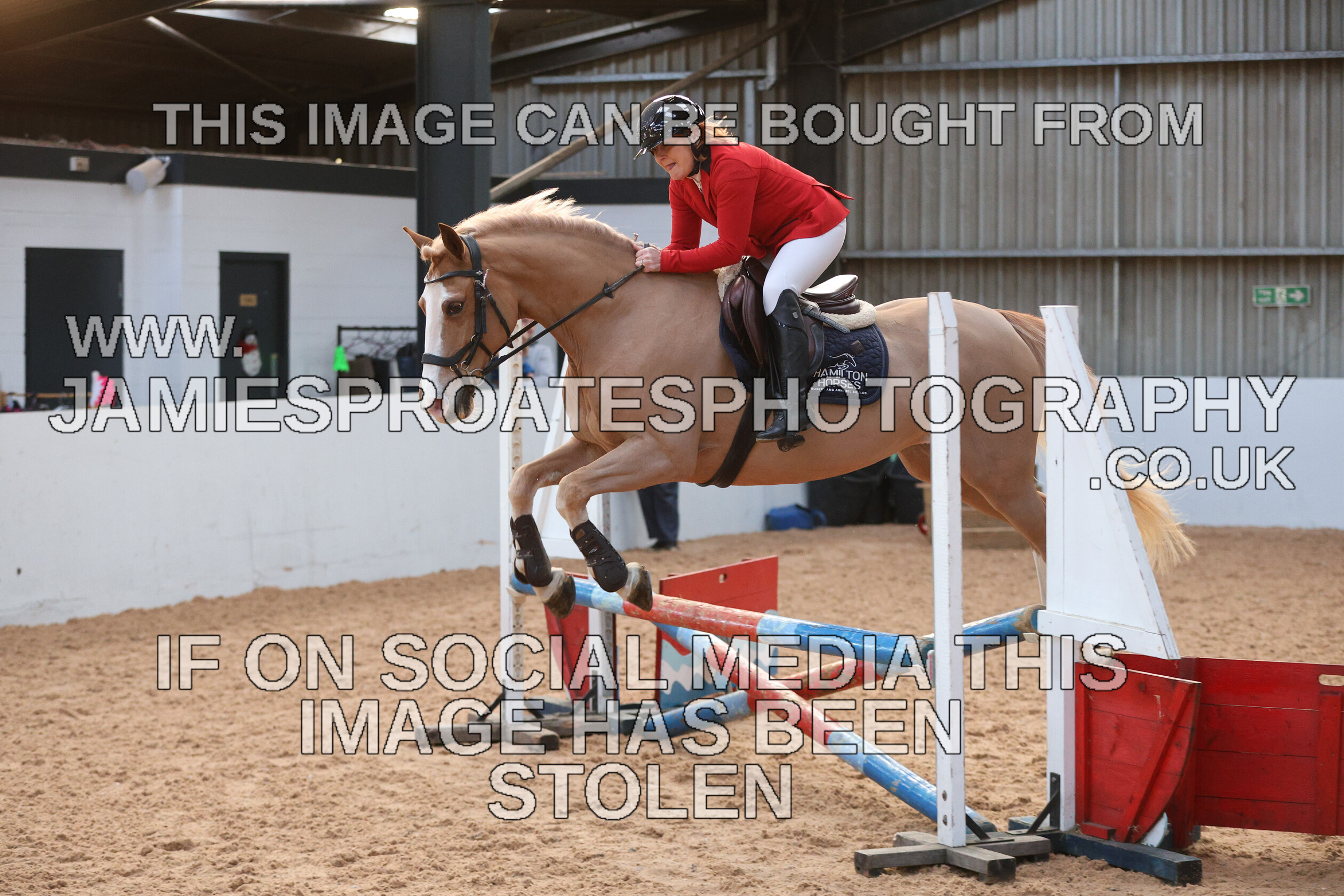 0002 3915 
 Keywords: "jamie sproates photography" showjumping" "holmside"