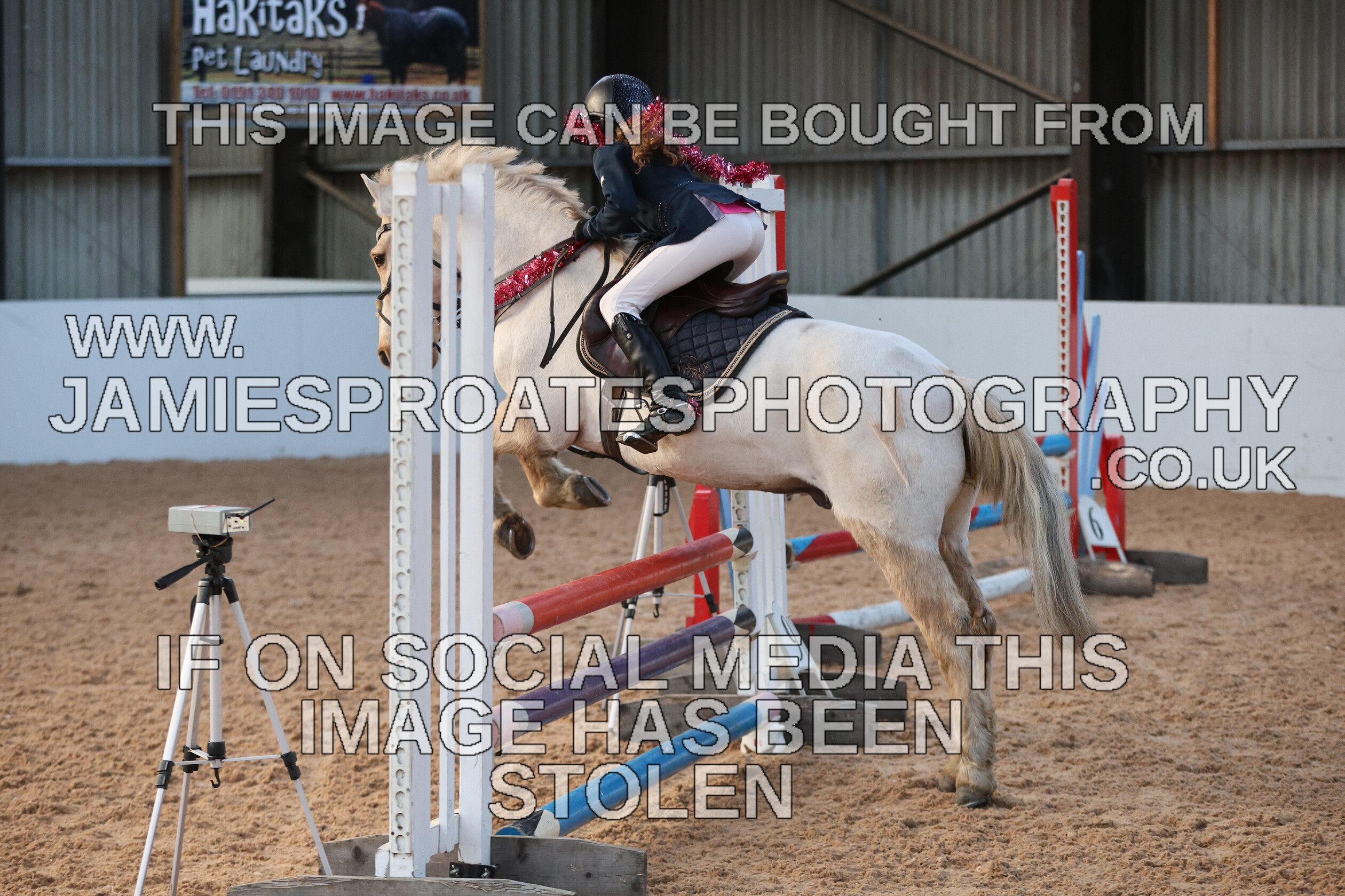 0002 3953 
 Keywords: "jamie sproates photography" showjumping" "holmside"