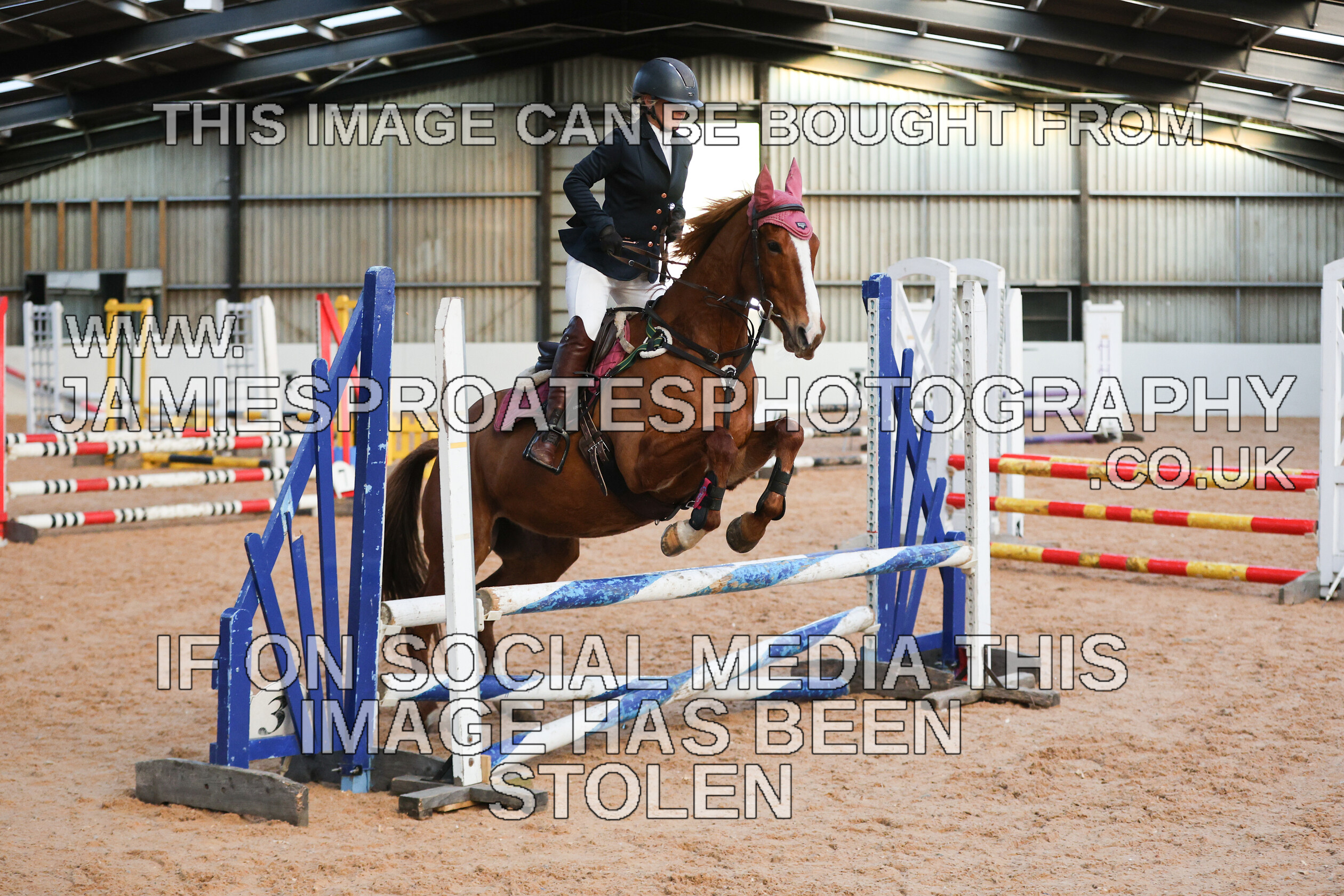 0002 3970 
 Keywords: "jamie sproates photography" showjumping" "holmside"