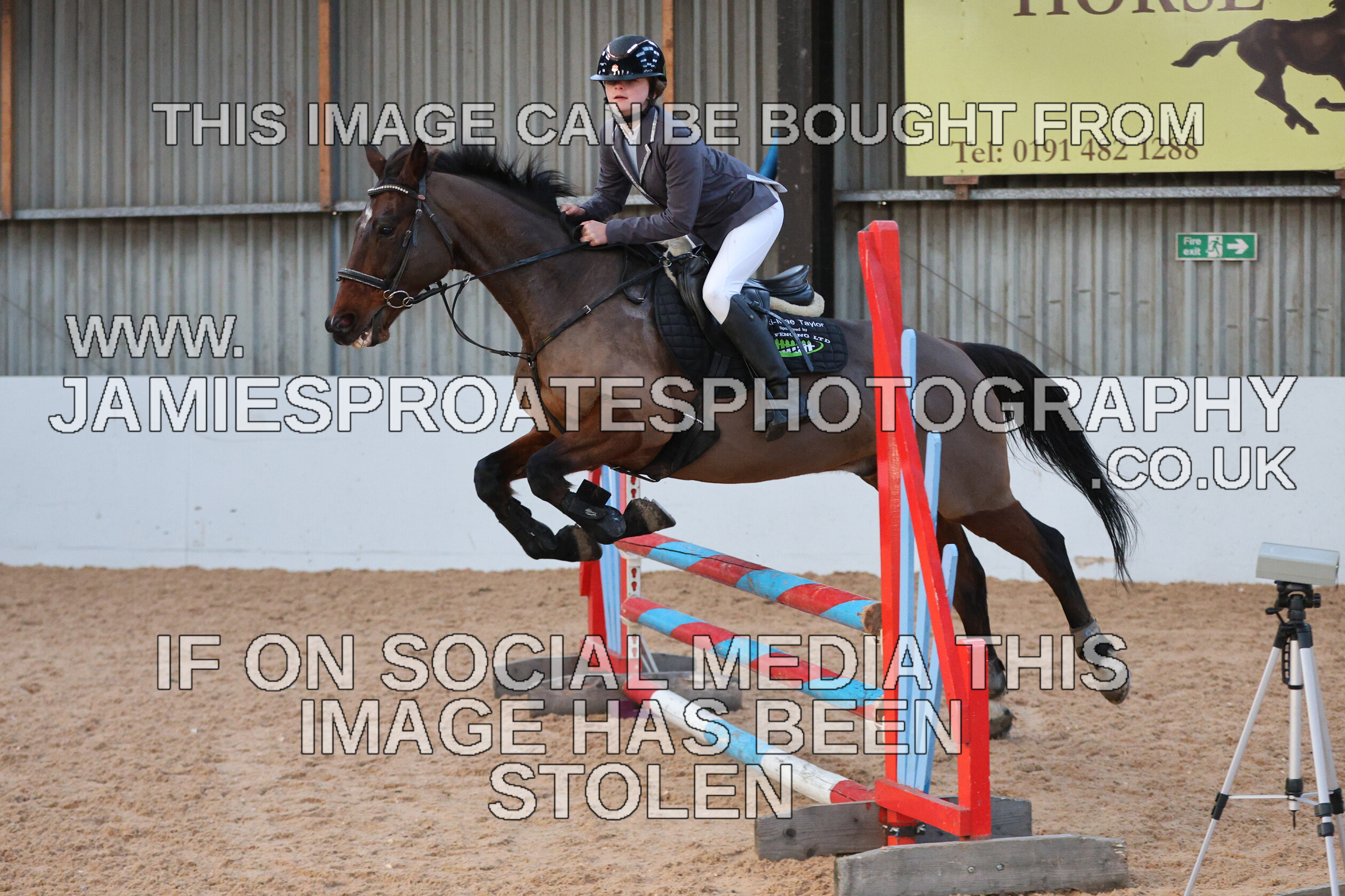 0002 3963 
 Keywords: "jamie sproates photography" showjumping" "holmside"