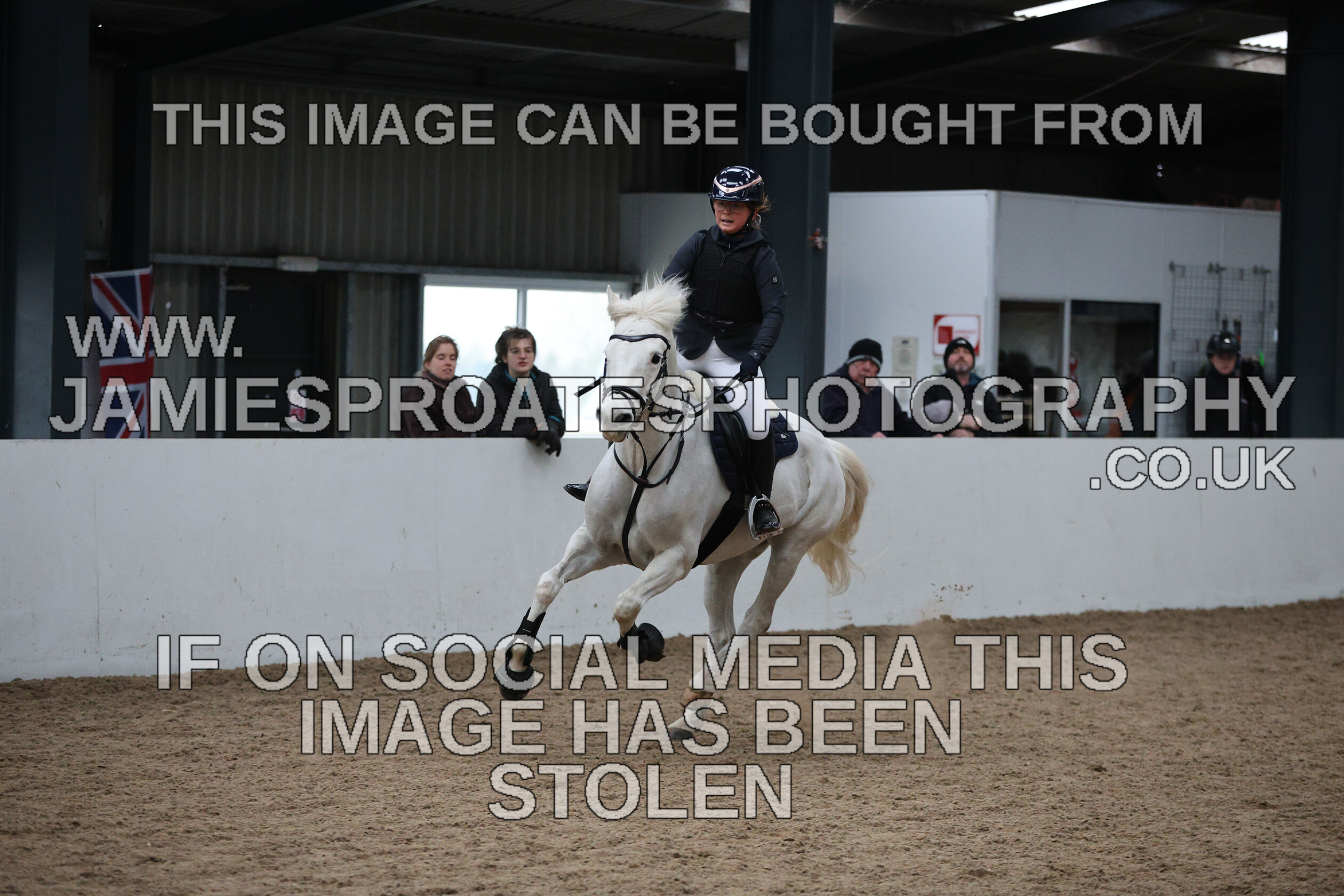 0002 6629 
 Keywords: "jamie sproates photography" showjumping" "holmside""bs"