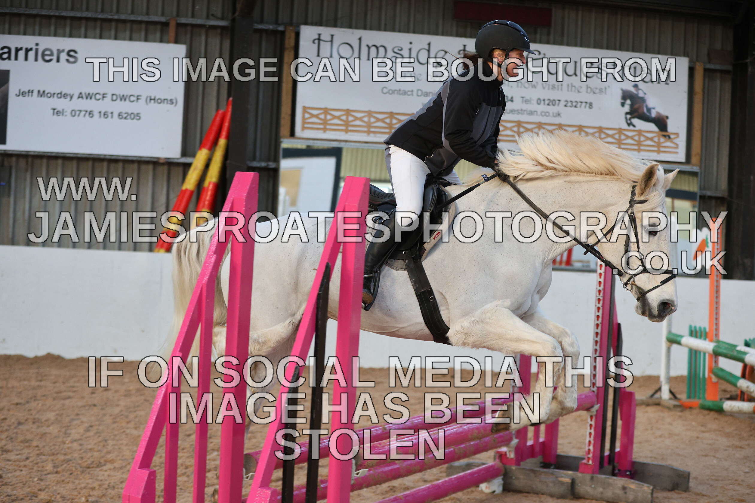 0002 3906 
 Keywords: "jamie sproates photography" showjumping" "holmside"