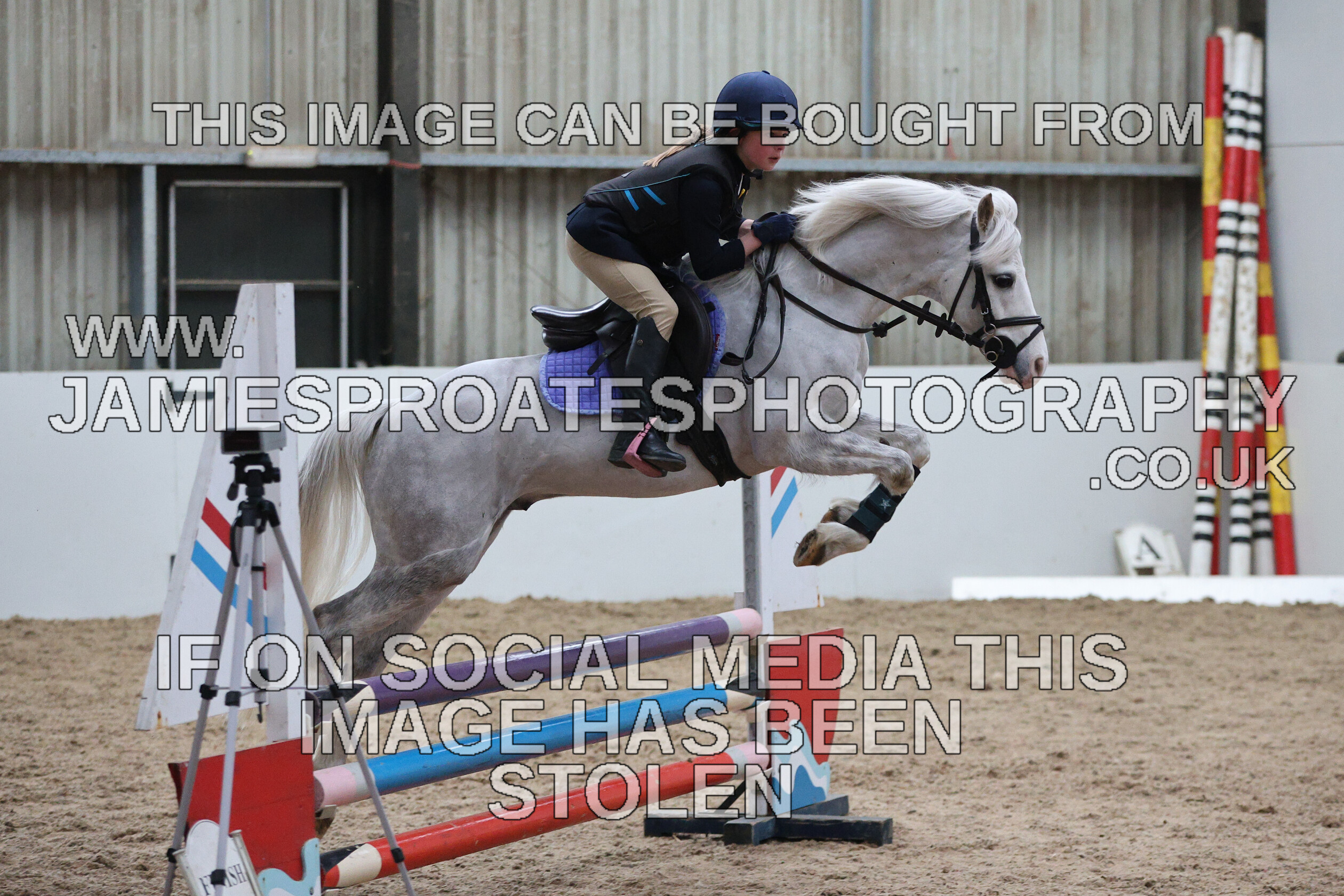 0002 6617 
 Keywords: "jamie sproates photography" showjumping" "holmside""bs"