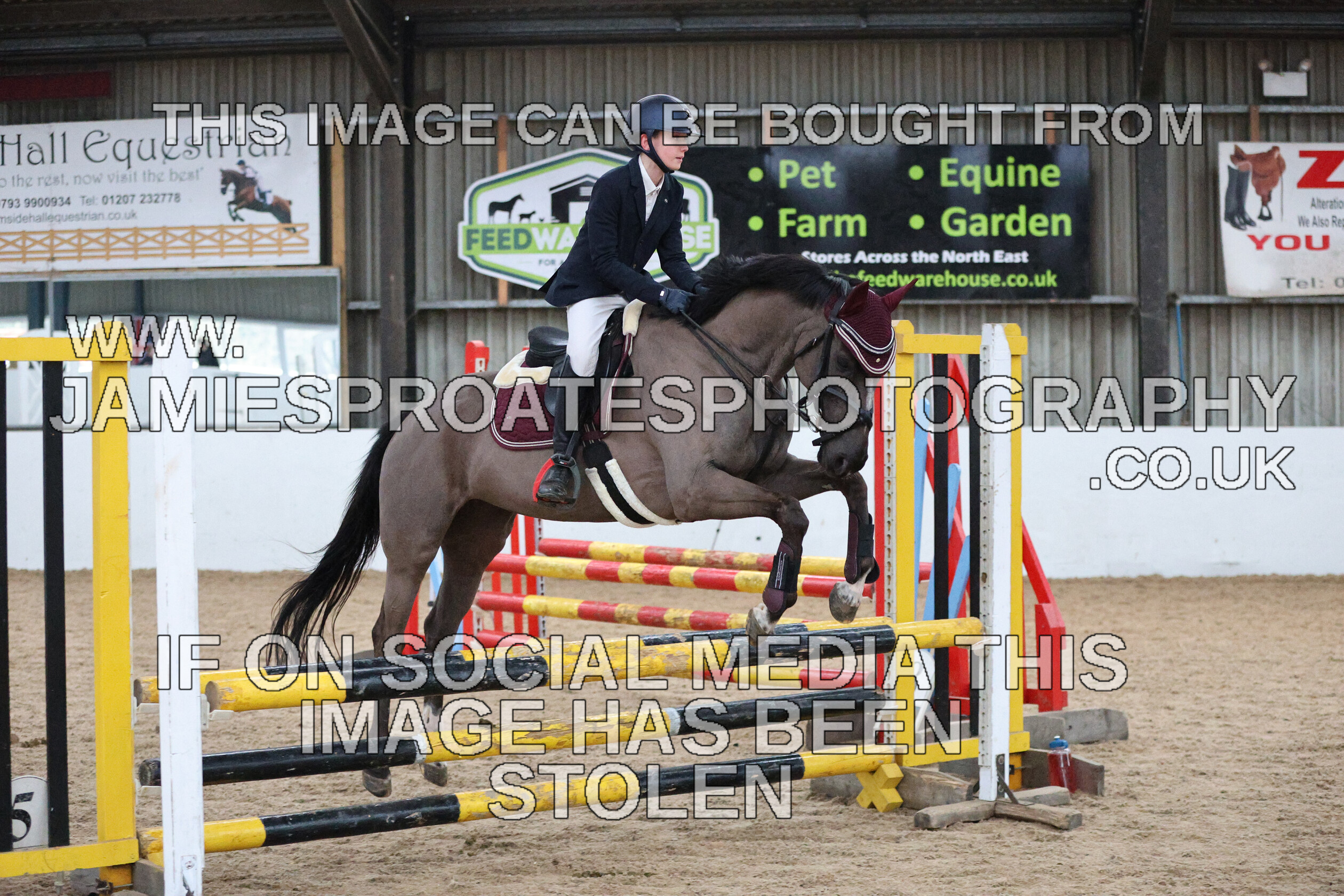 0002 6639 
 Keywords: "jamie sproates photography" showjumping" "holmside""bs"