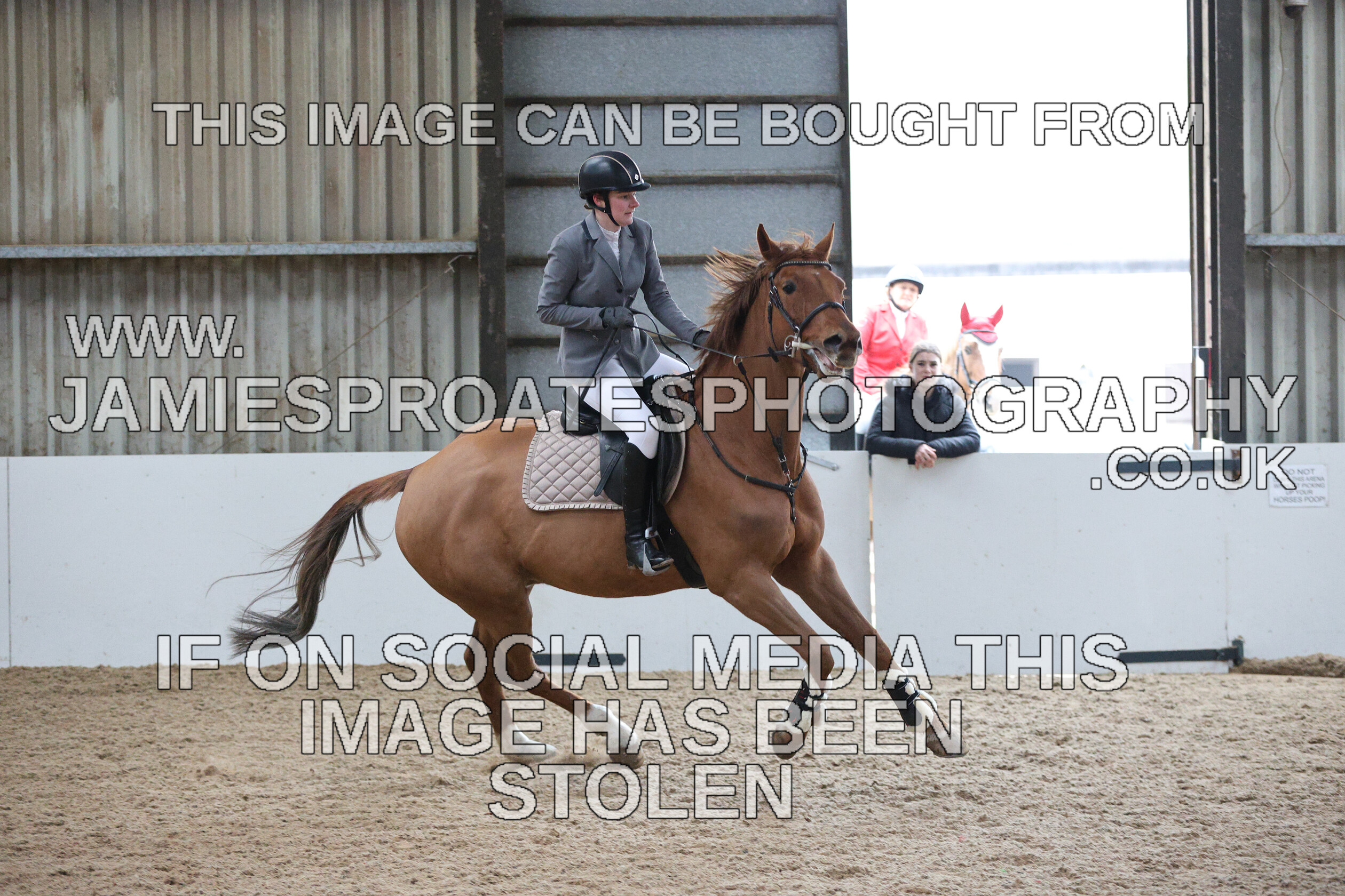 0002 6591 
 Keywords: "jamie sproates photography" showjumping" "holmside""bs"