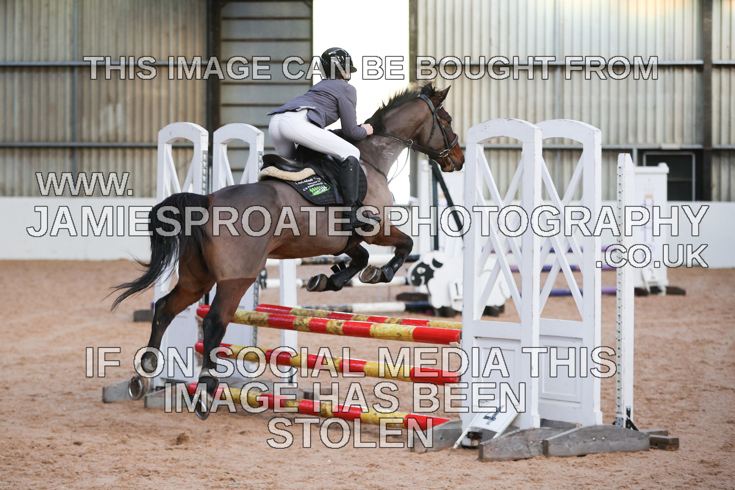 0002 3962 
 Keywords: "jamie sproates photography" showjumping" "holmside"