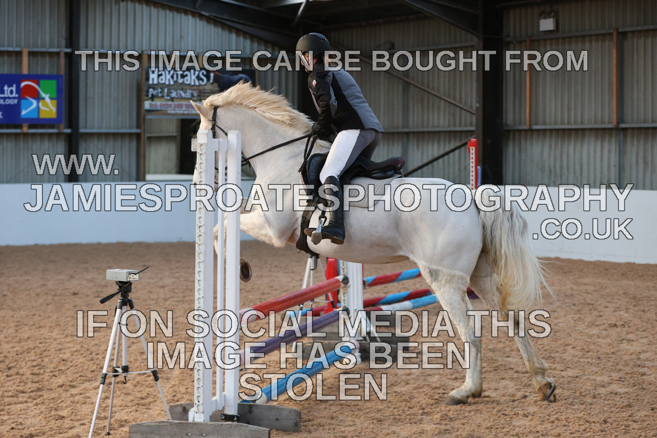 0002 3905 
 Keywords: "jamie sproates photography" showjumping" "holmside"