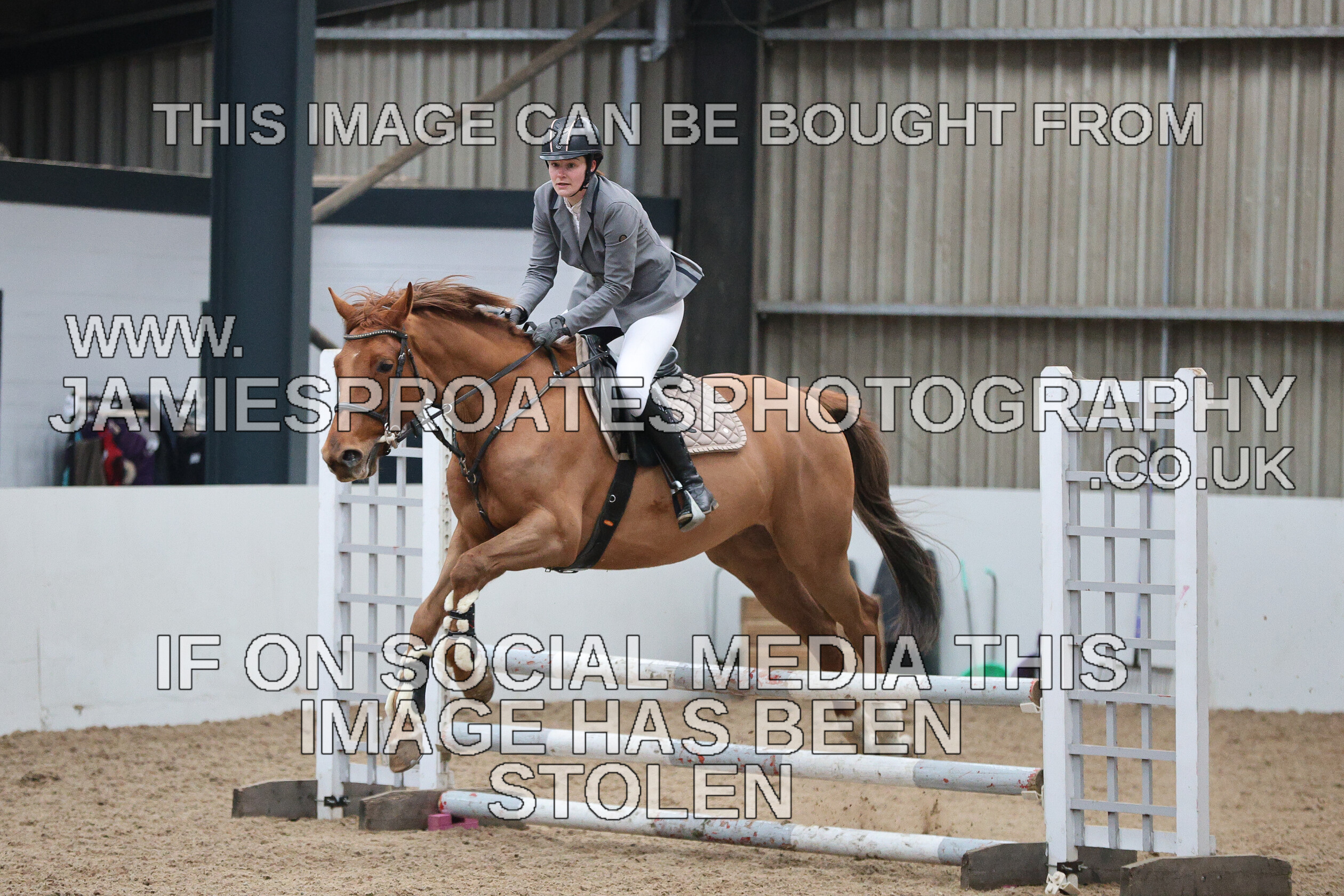 0002 6593 
 Keywords: "jamie sproates photography" showjumping" "holmside""bs"