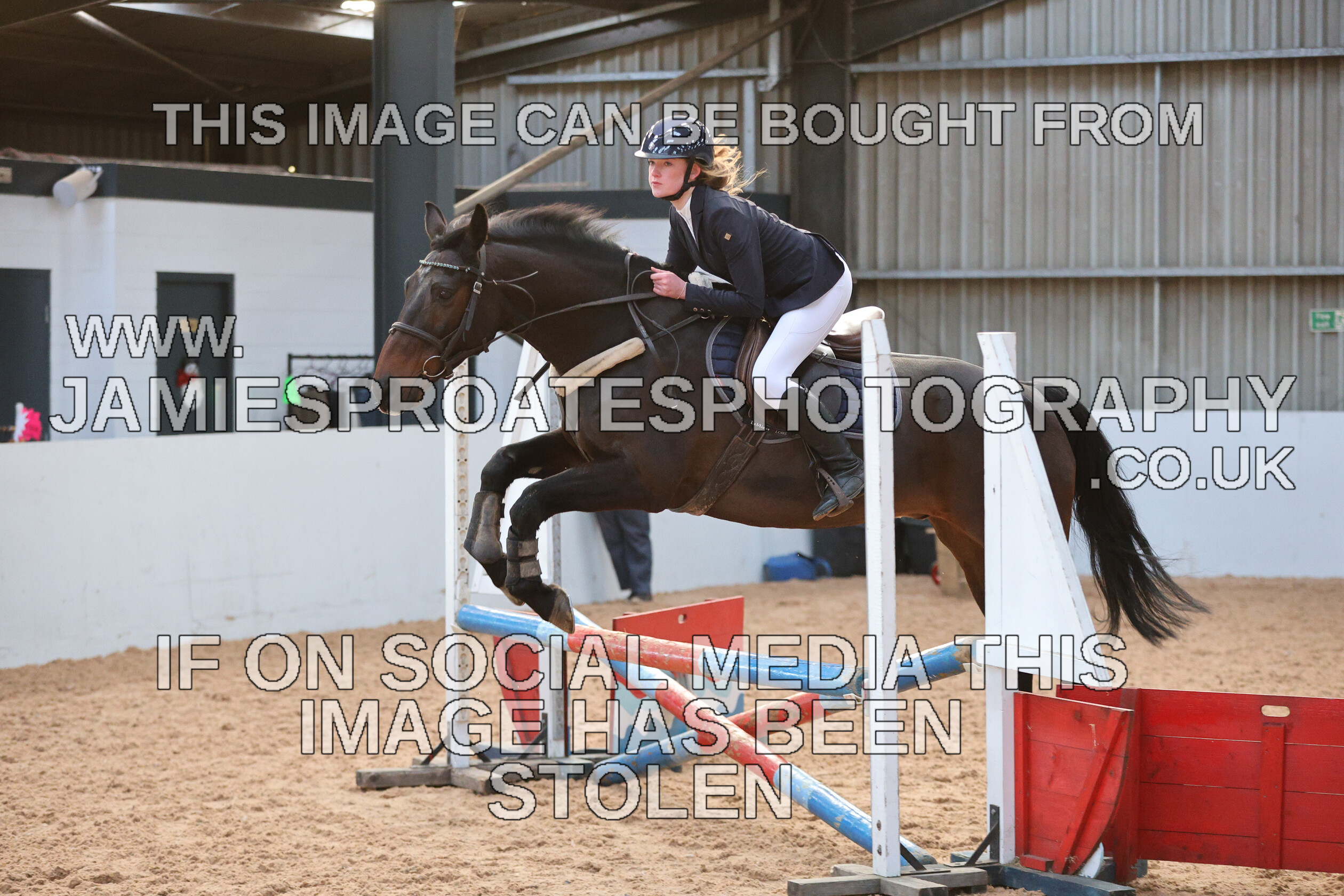 0002 3930 
 Keywords: "jamie sproates photography" showjumping" "holmside"