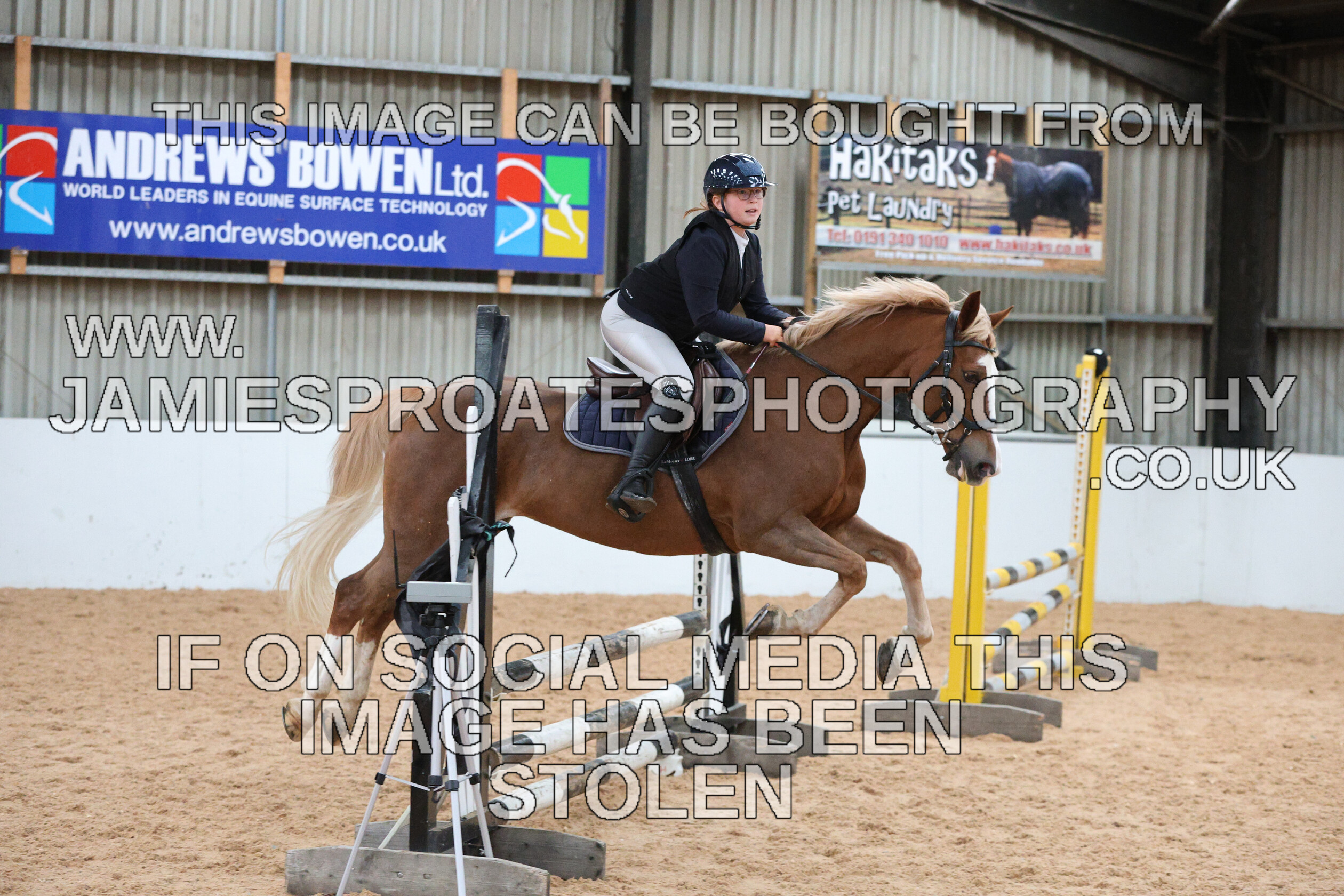 0005 0198 
 Keywords: "jamie sproates photography" showjumping" "holmside"