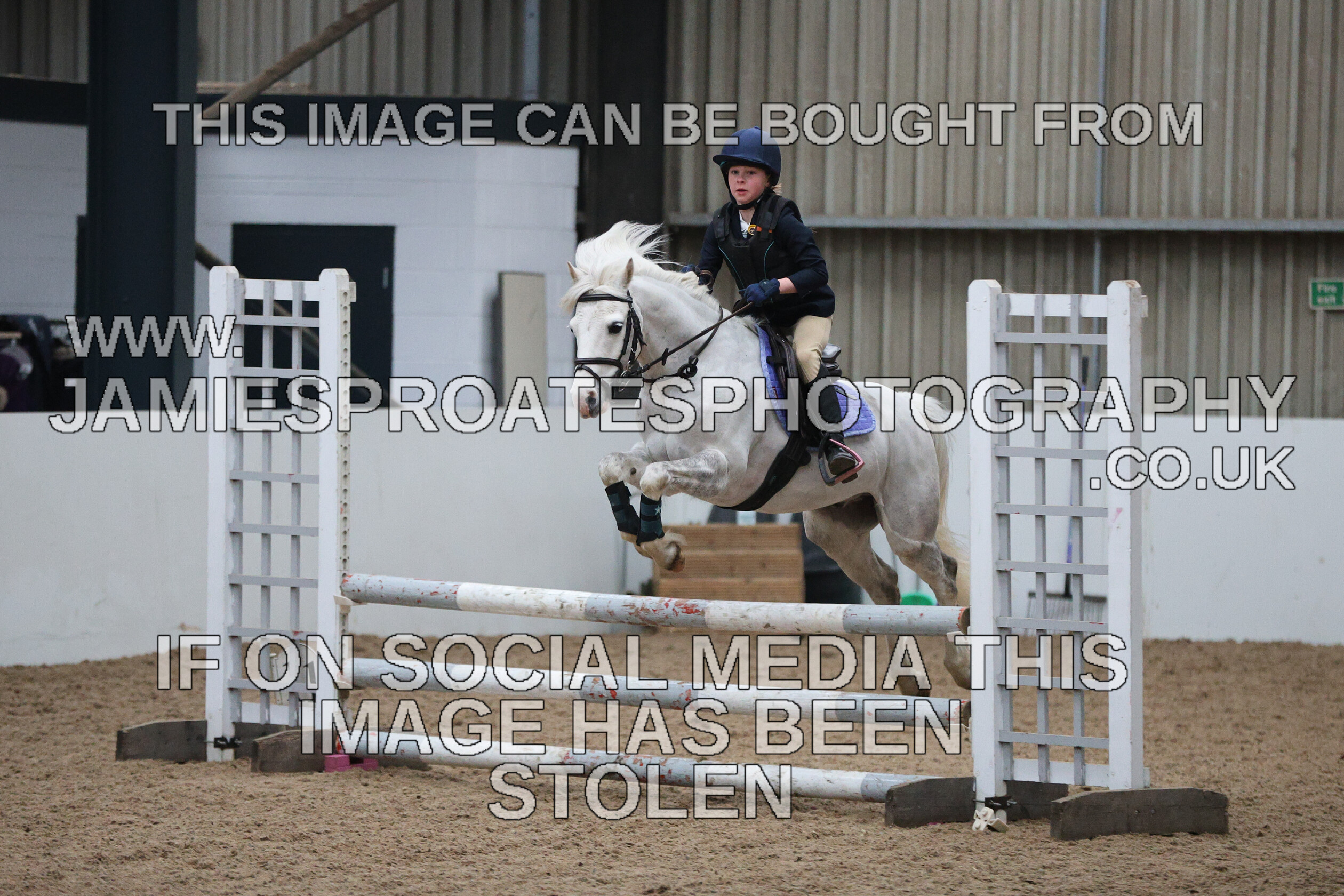 0002 6618 
 Keywords: "jamie sproates photography" showjumping" "holmside""bs"