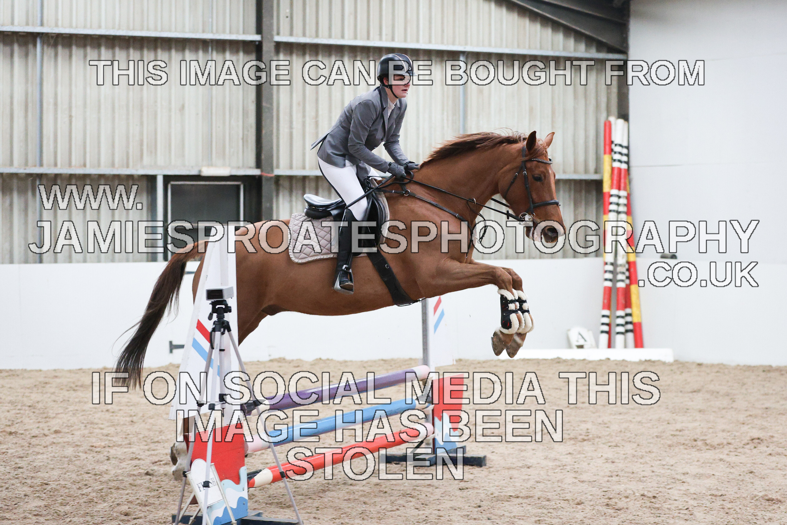 0002 6592 
 Keywords: "jamie sproates photography" showjumping" "holmside""bs"