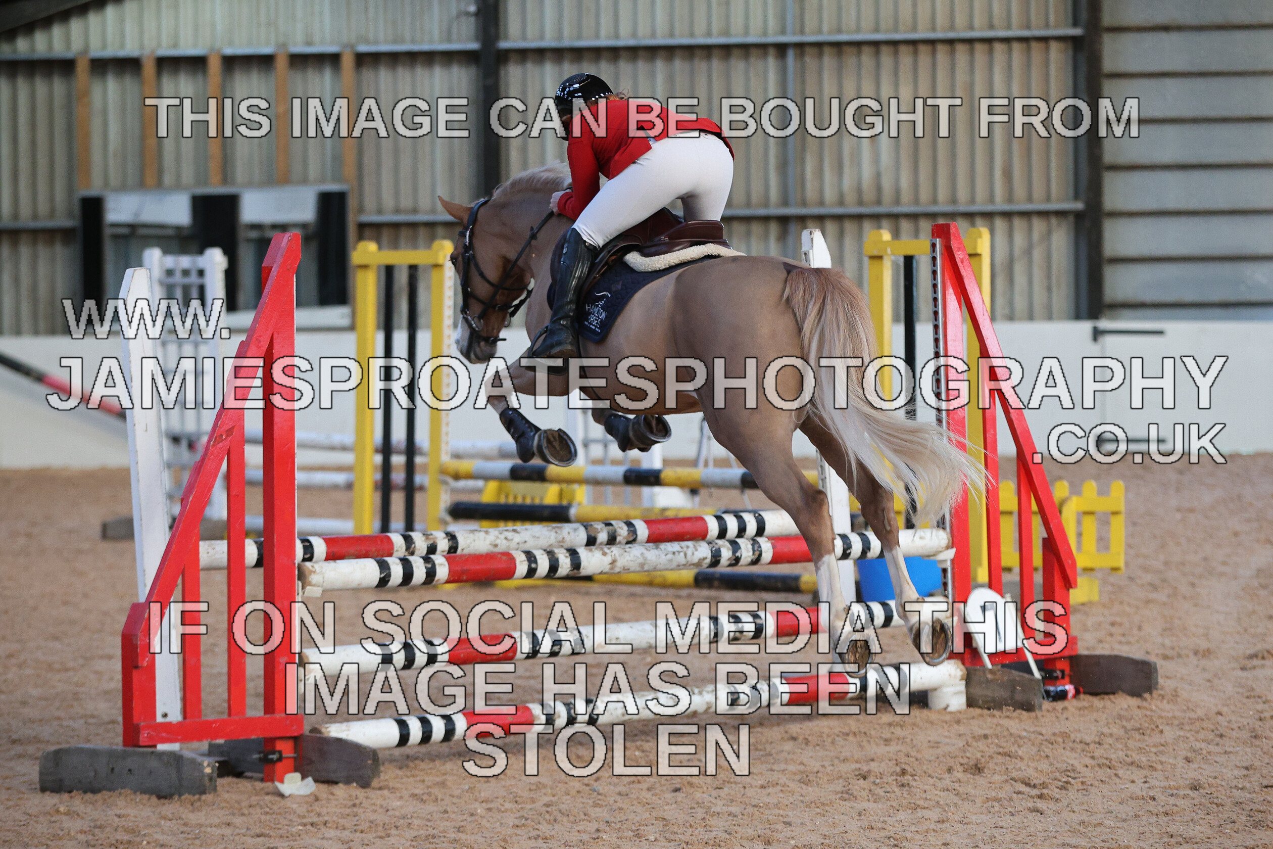 0002 3921 
 Keywords: "jamie sproates photography" showjumping" "holmside"