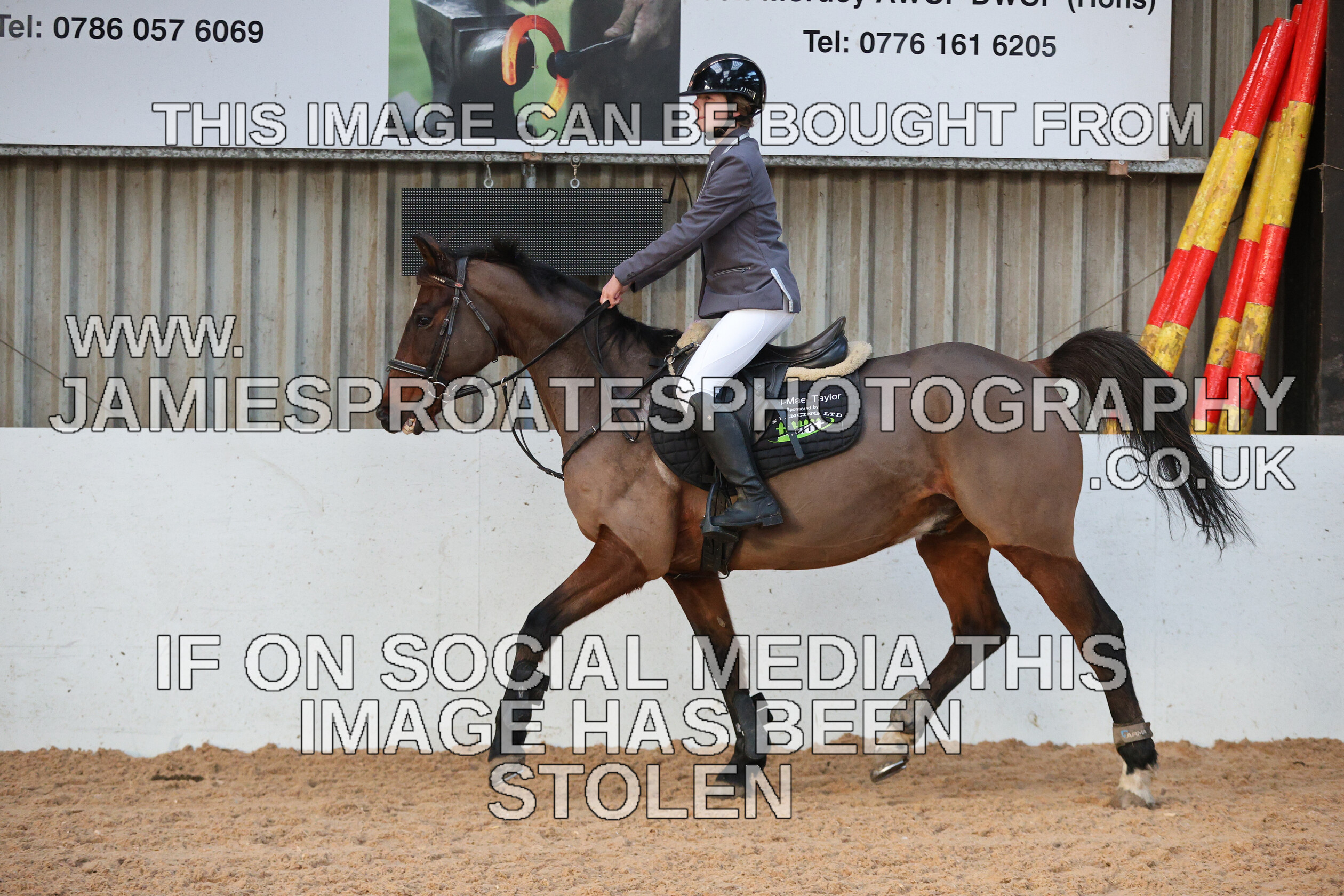 0002 3957 
 Keywords: "jamie sproates photography" showjumping" "holmside"