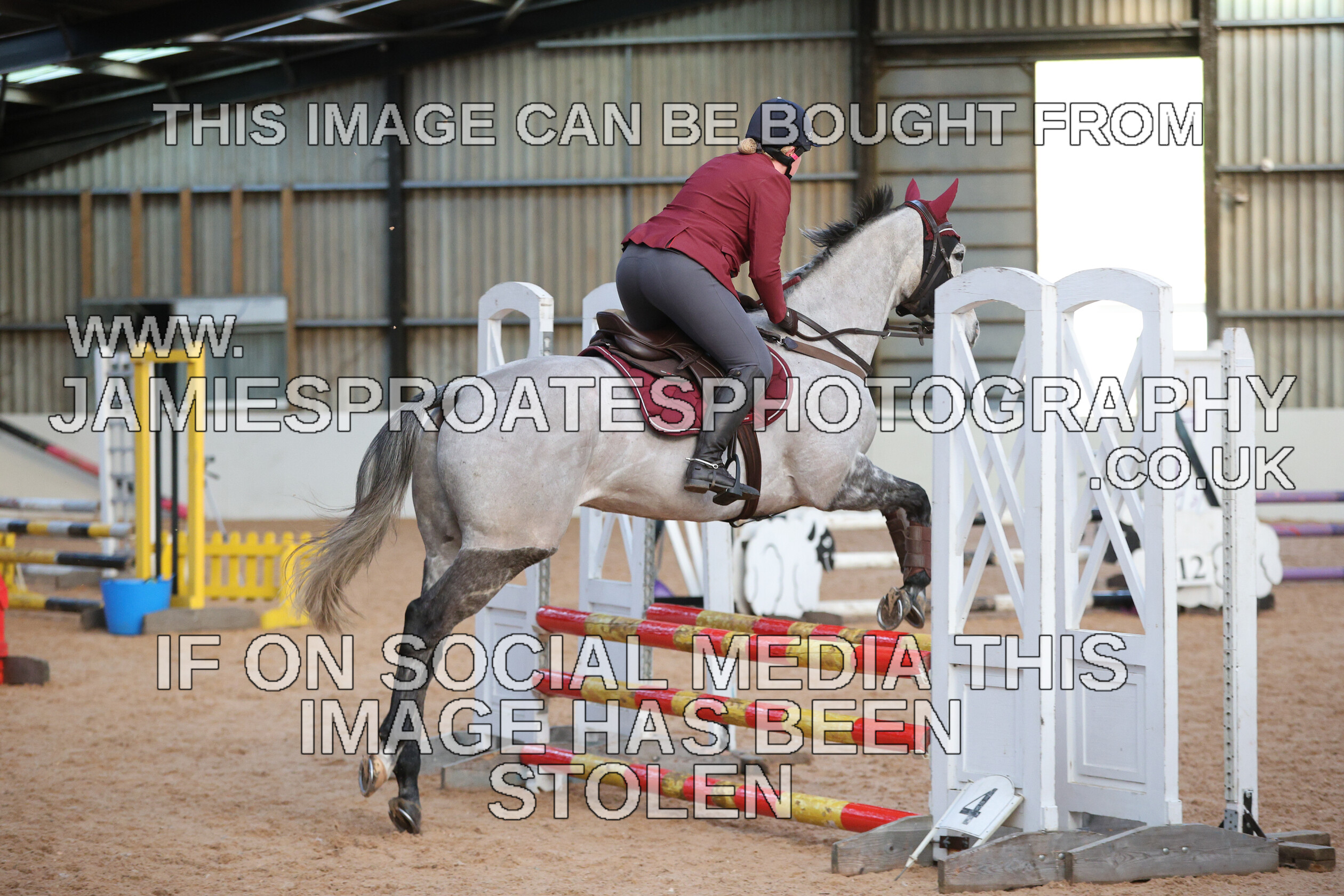 0002 3893 
 Keywords: "jamie sproates photography" showjumping" "holmside"