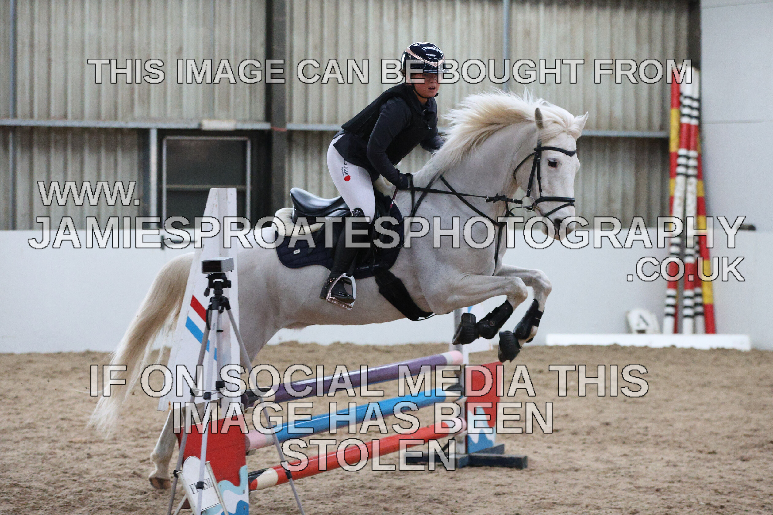 0002 6626 
 Keywords: "jamie sproates photography" showjumping" "holmside""bs"