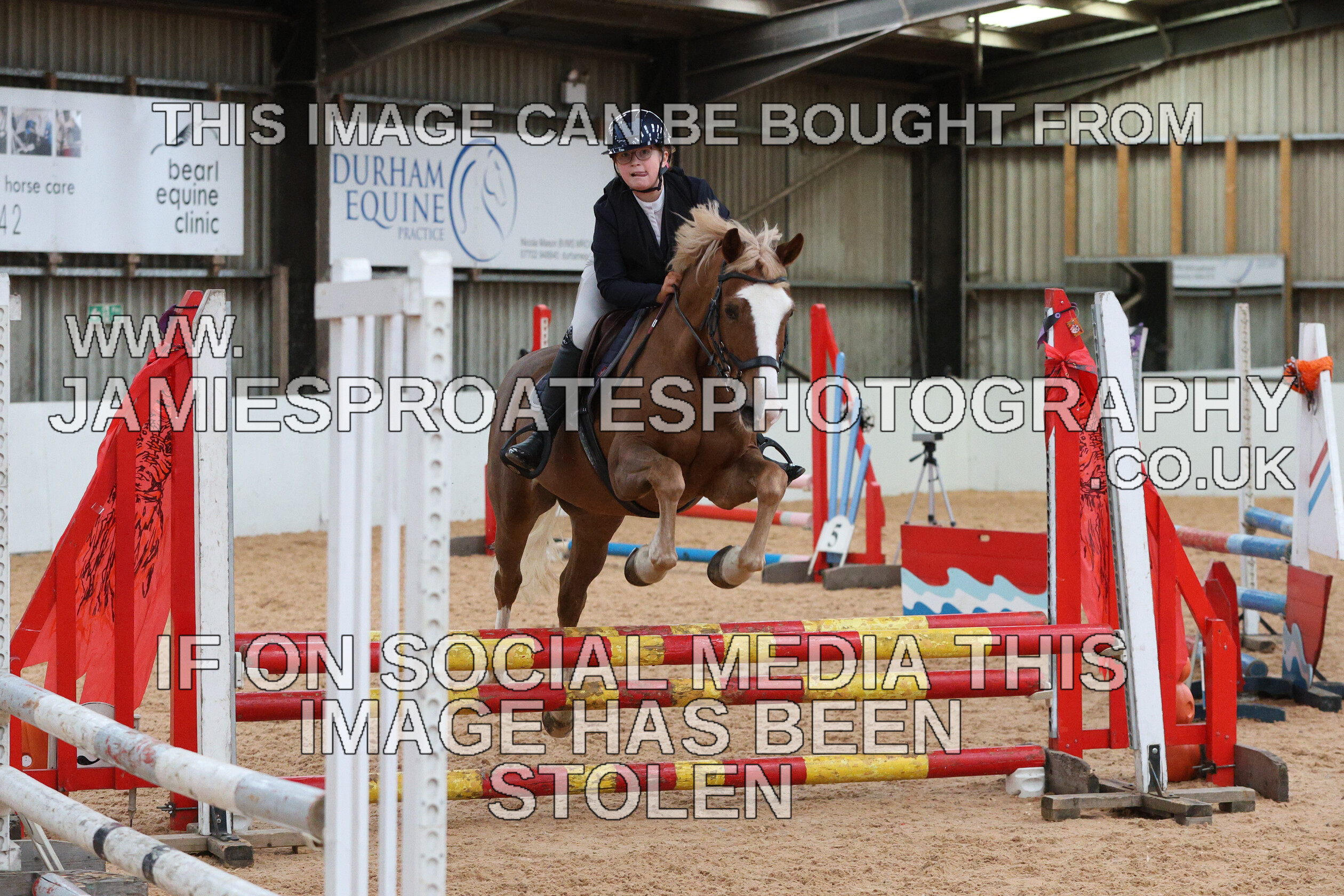 0005 0197 
 Keywords: "jamie sproates photography" showjumping" "holmside"