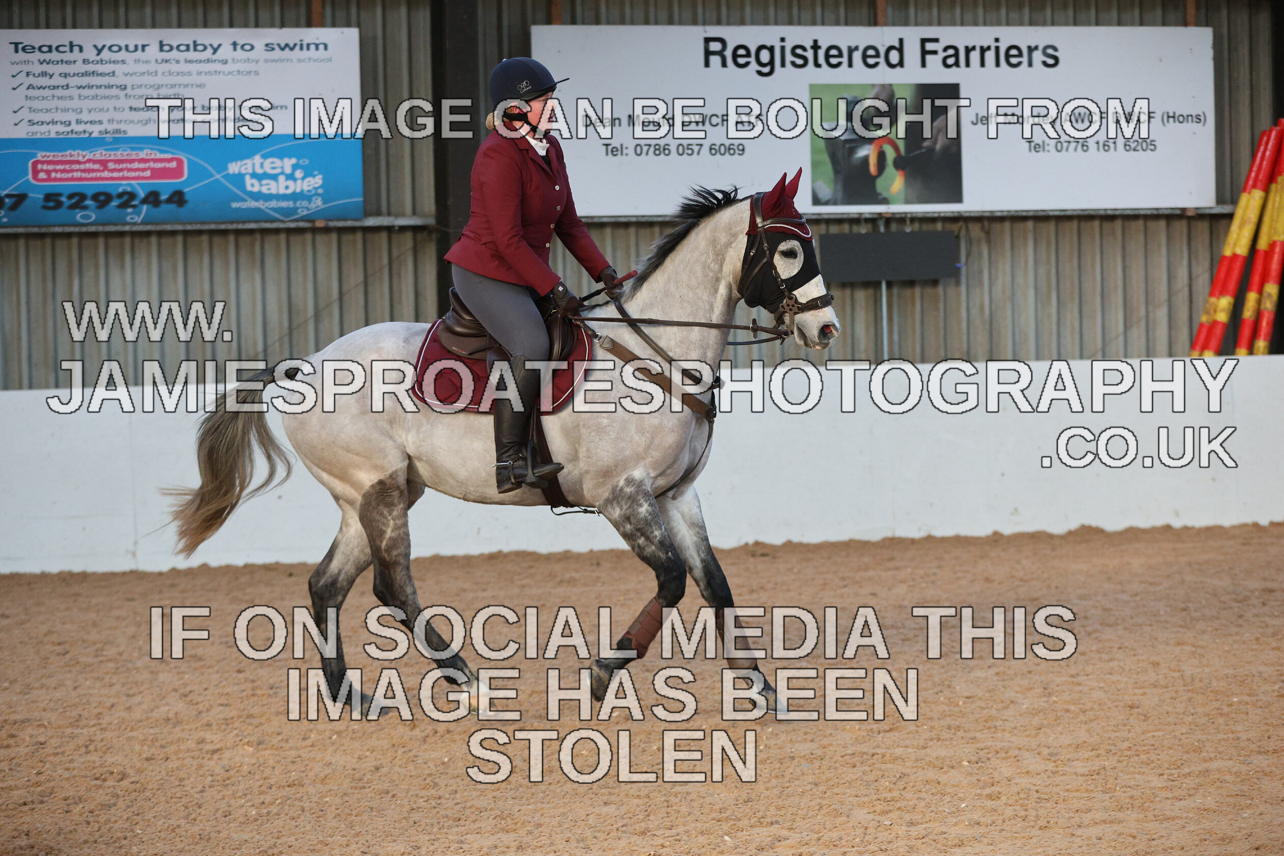 0002 3892 
 Keywords: "jamie sproates photography" showjumping" "holmside"