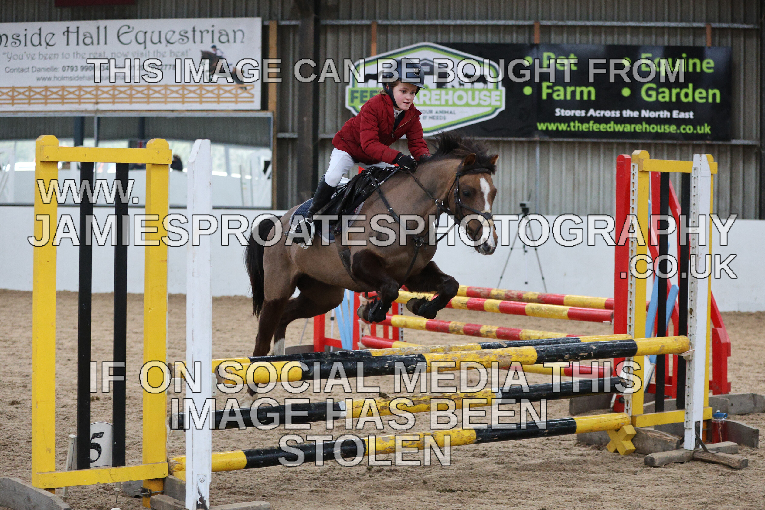 0002 6651 
 Keywords: "jamie sproates photography" showjumping" "holmside""bs"