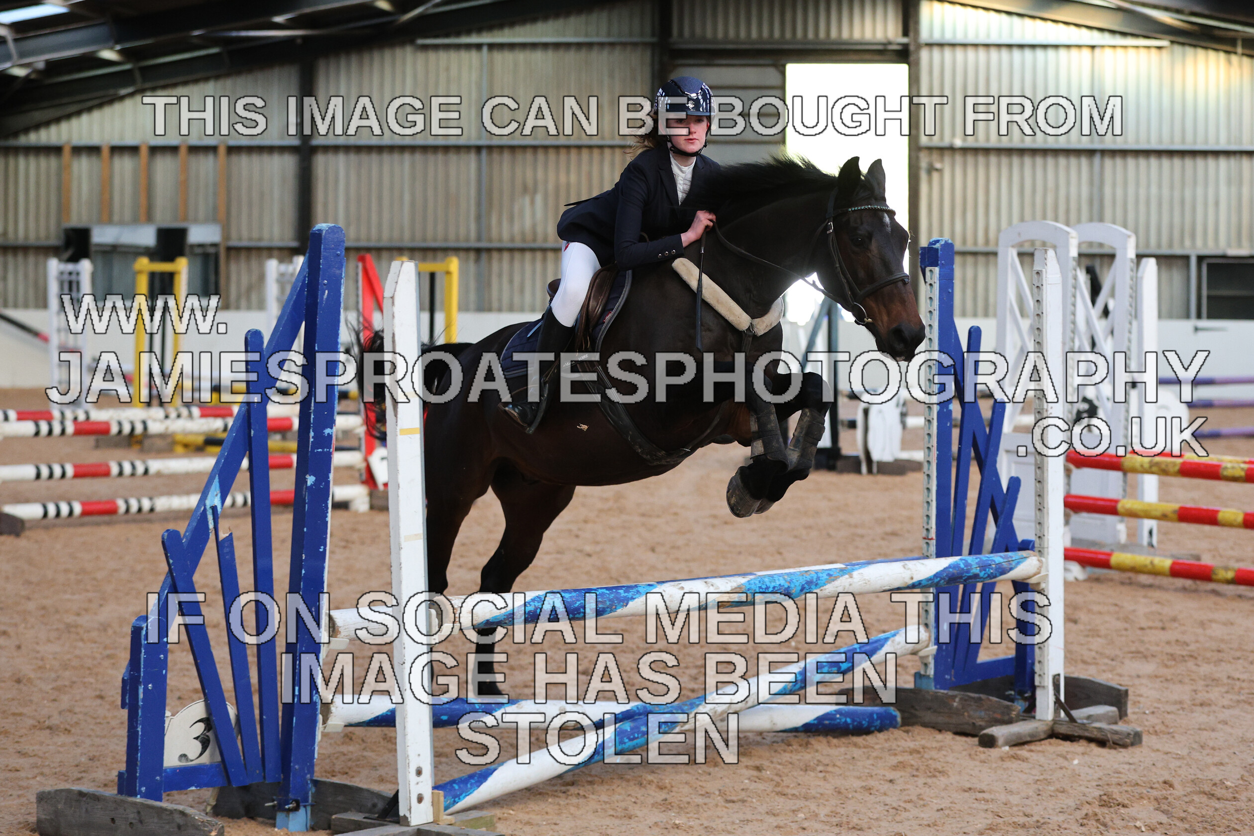 0002 3931 
 Keywords: "jamie sproates photography" showjumping" "holmside"