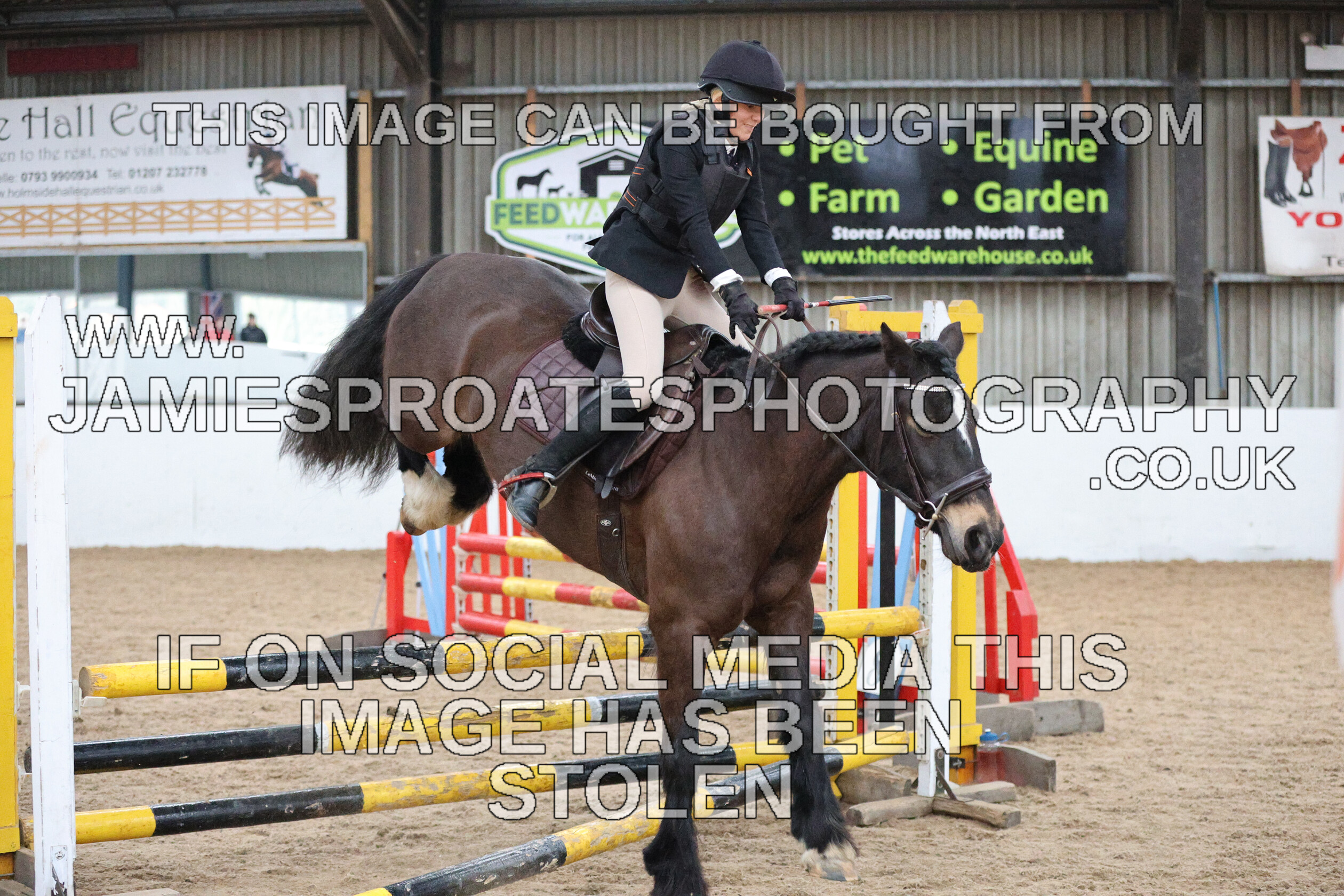 0002 6664 
 Keywords: "jamie sproates photography" showjumping" "holmside""bs"