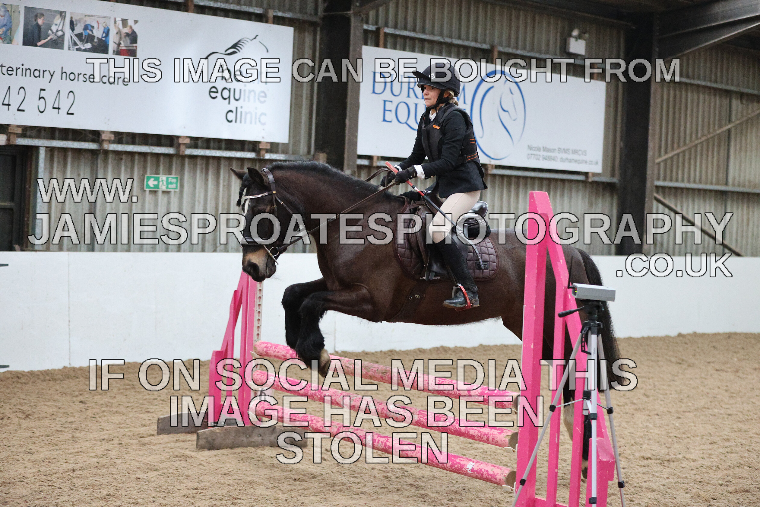 0002 6665 
 Keywords: "jamie sproates photography" showjumping" "holmside""bs"