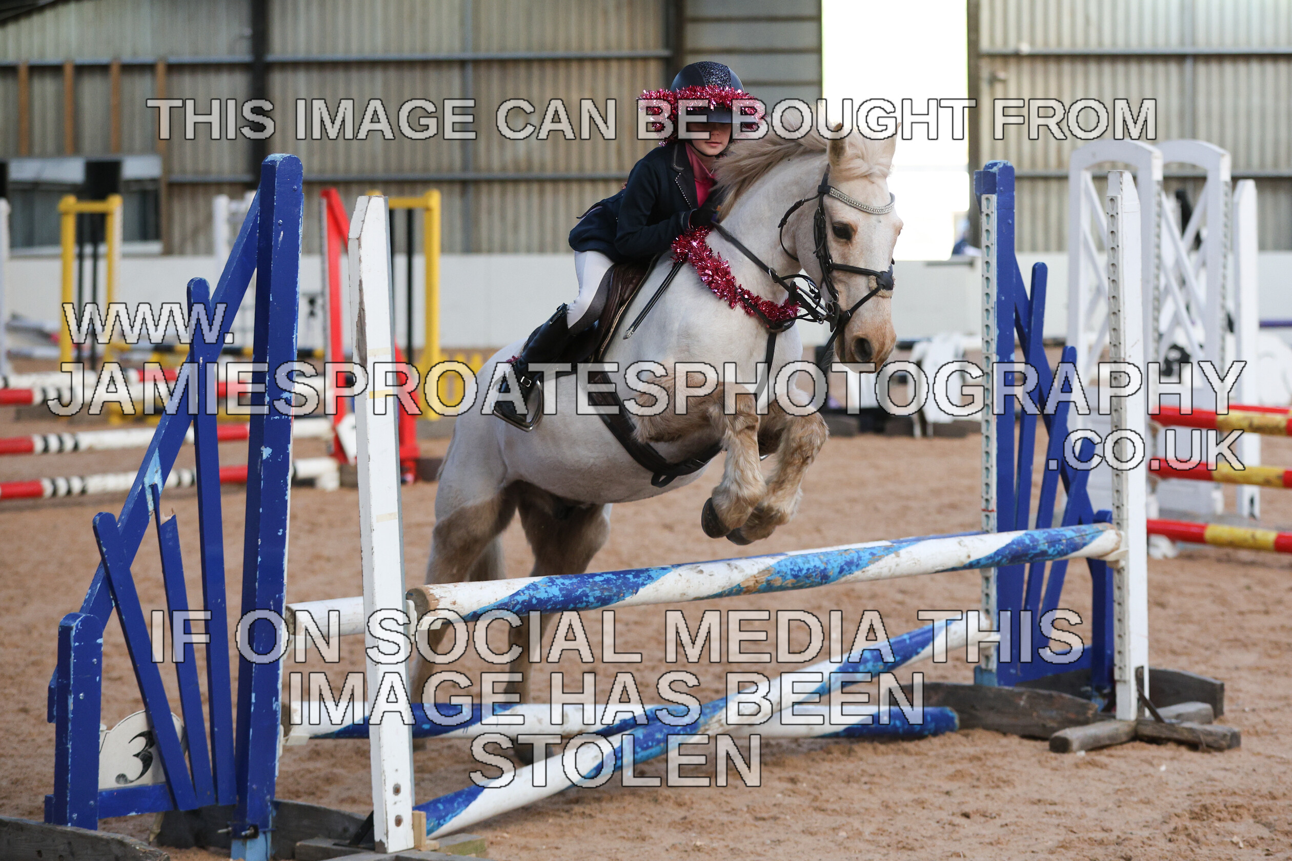 0002 3946 
 Keywords: "jamie sproates photography" showjumping" "holmside"