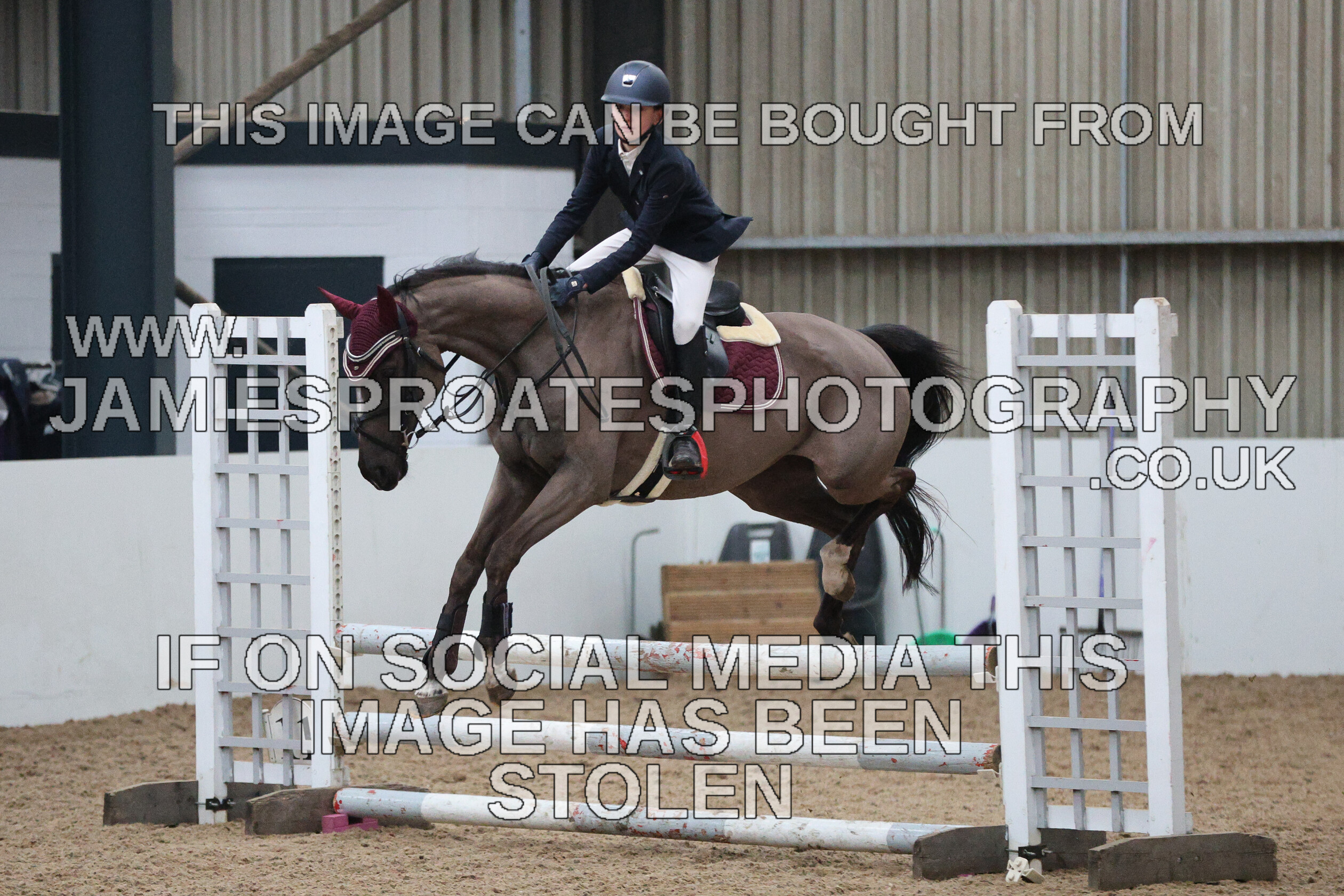 0002 6643 
 Keywords: "jamie sproates photography" showjumping" "holmside""bs"