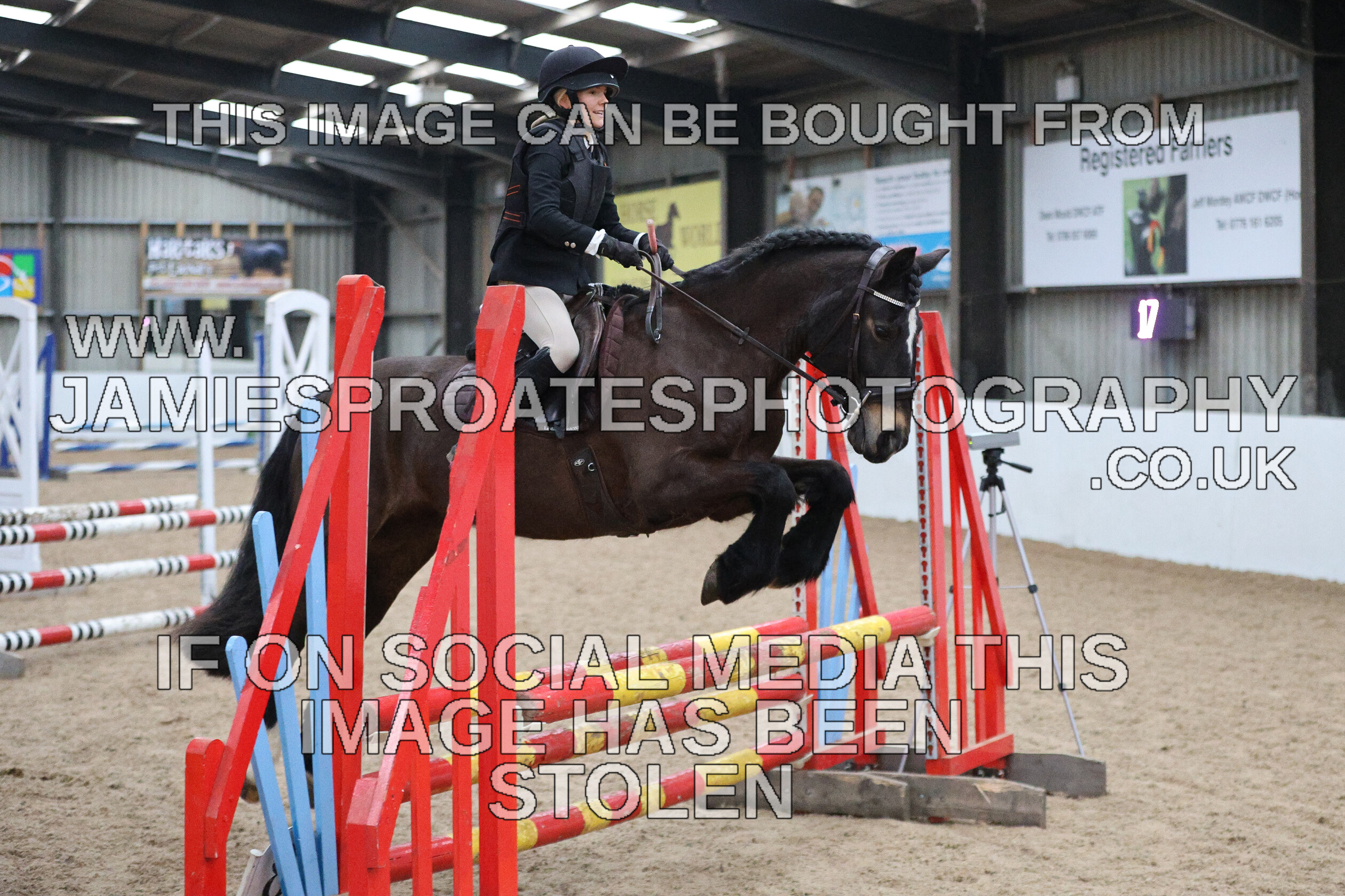 0002 6666 
 Keywords: "jamie sproates photography" showjumping" "holmside""bs"