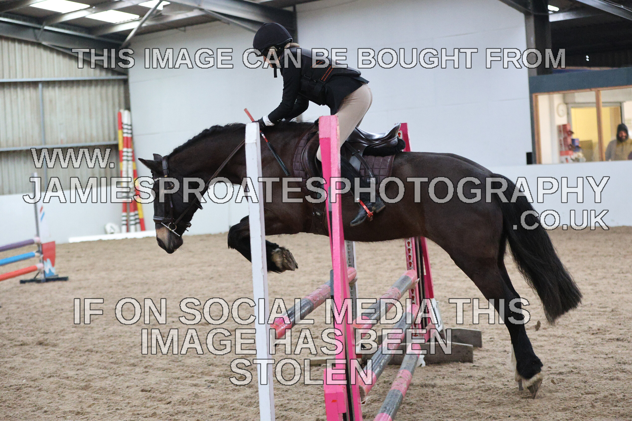 0002 6669 
 Keywords: "jamie sproates photography" showjumping" "holmside""bs"