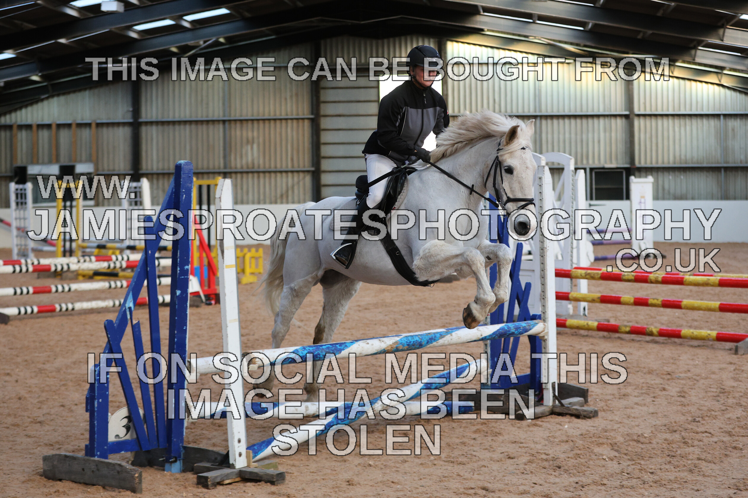 0002 3902 
 Keywords: "jamie sproates photography" showjumping" "holmside"