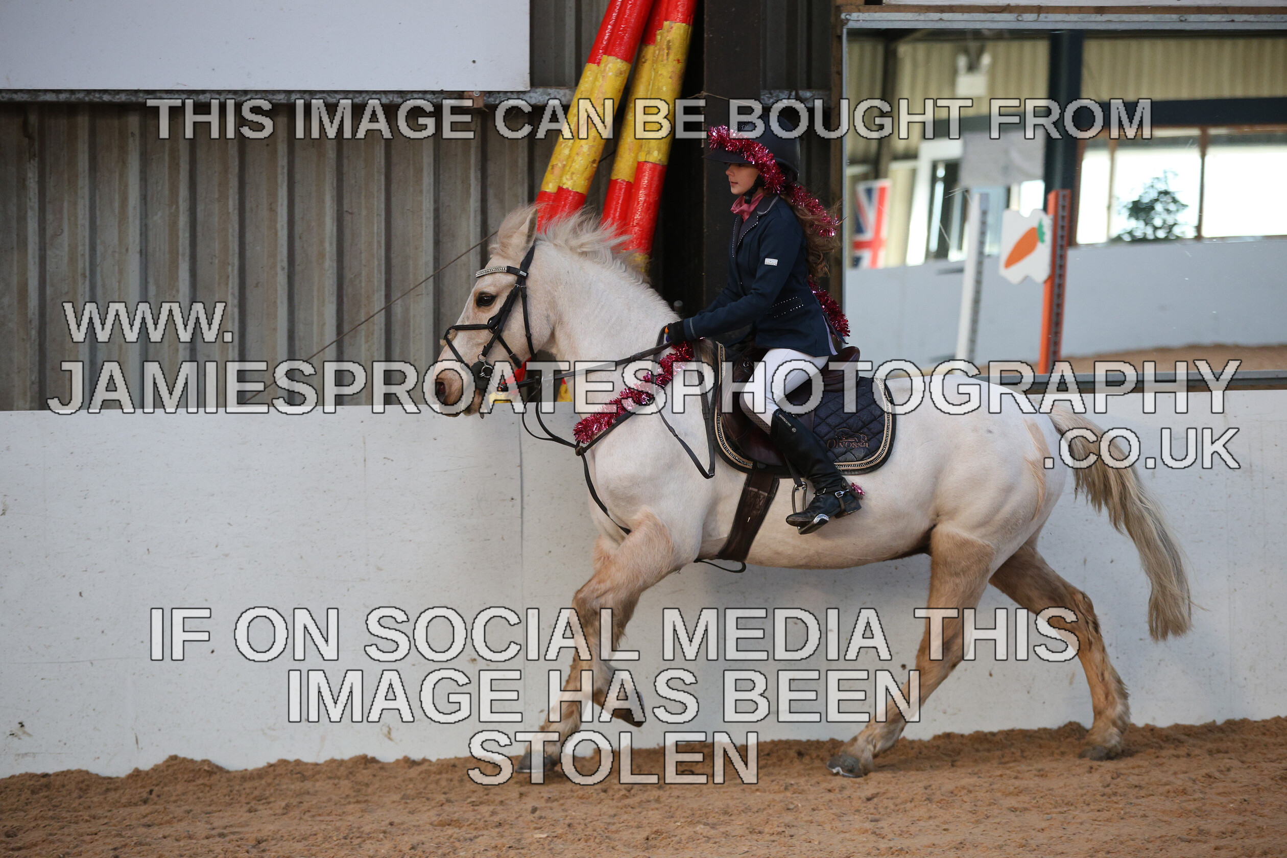 0002 3942 
 Keywords: "jamie sproates photography" showjumping" "holmside"