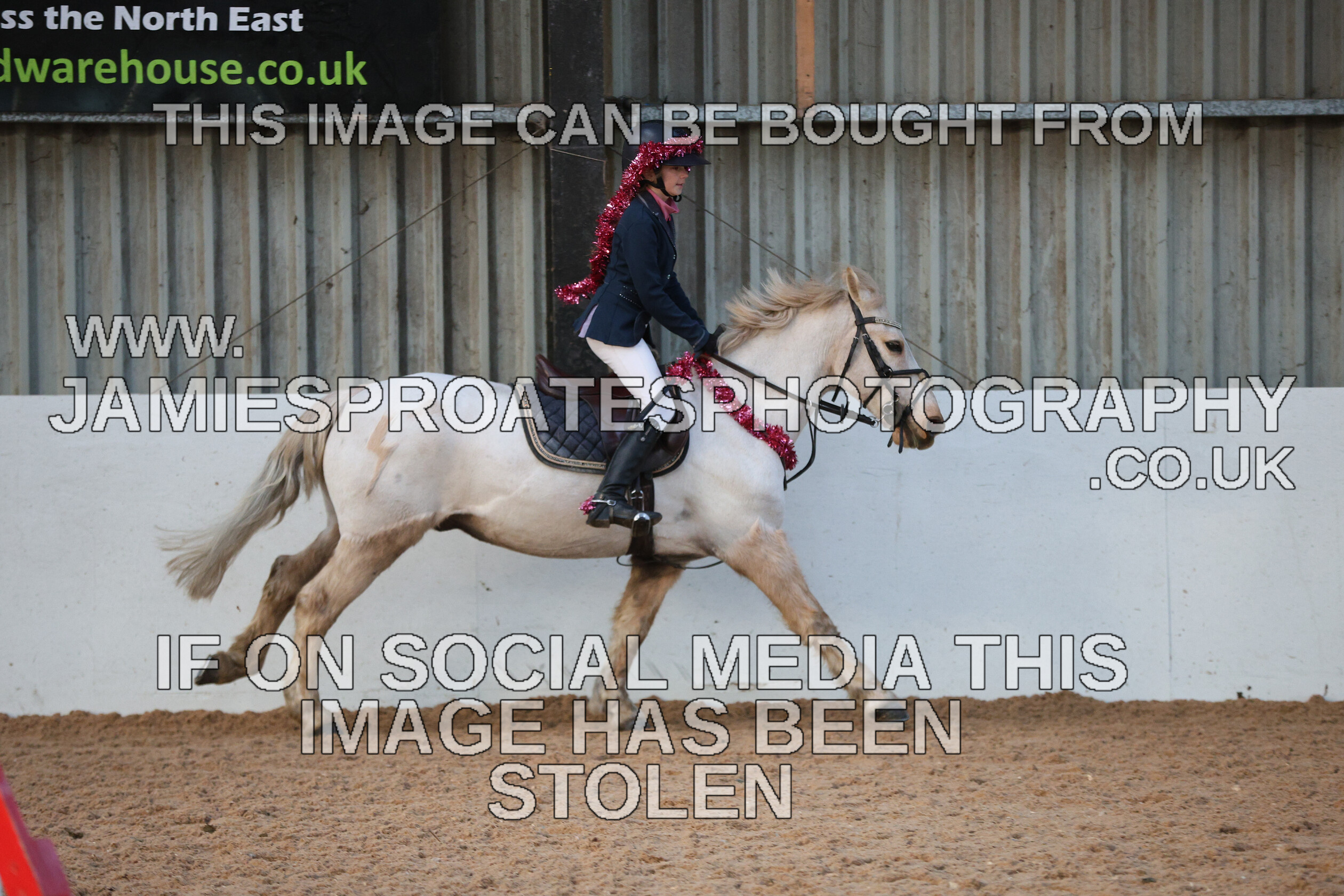 0002 3986 
 Keywords: "jamie sproates photography" showjumping" "holmside"